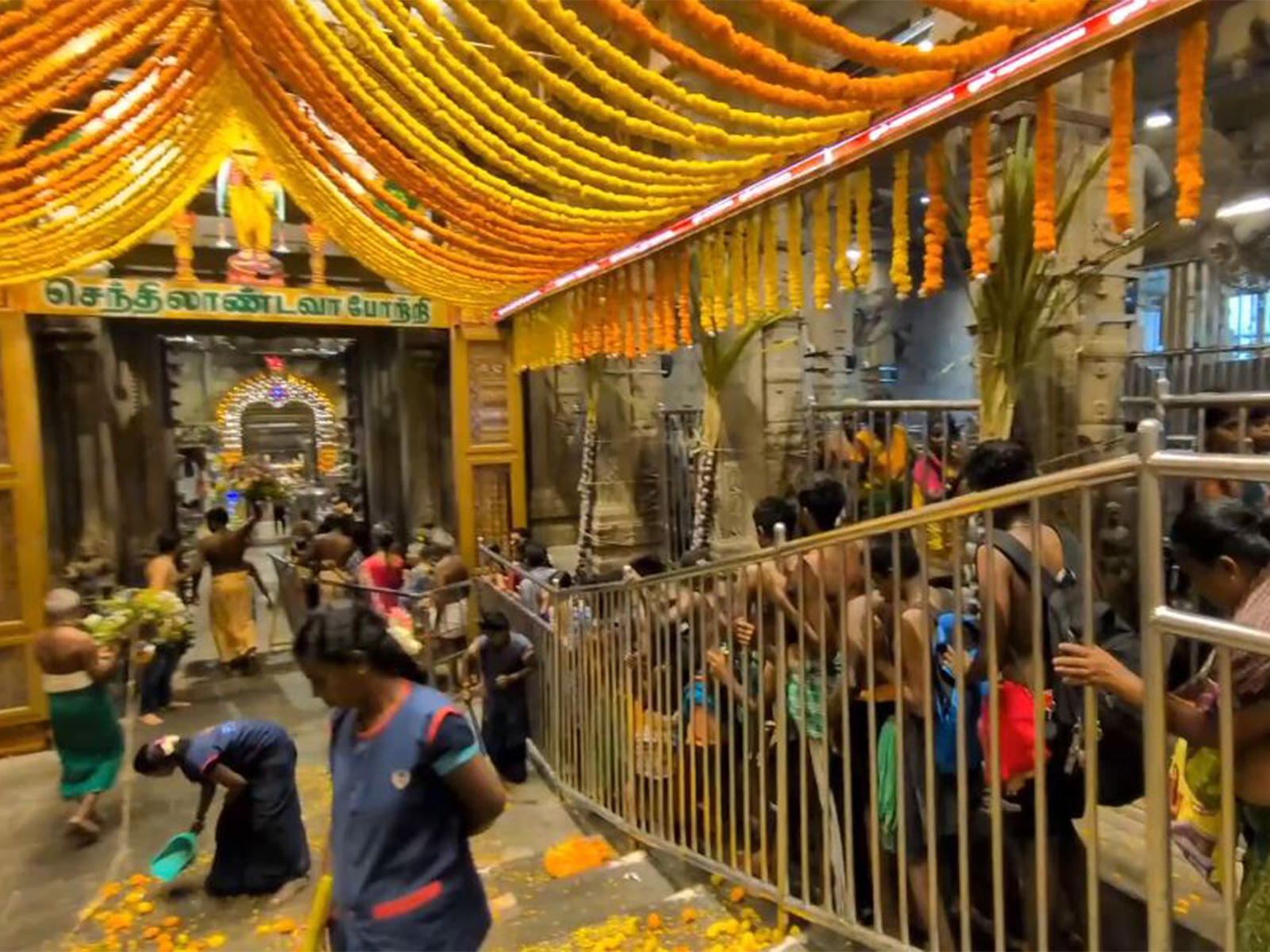Devotees at Thiruparankundram Murugan Temple (Photo/ANI) Devotees at Thiruparankundram Murugan Temple (Photo/ANI)