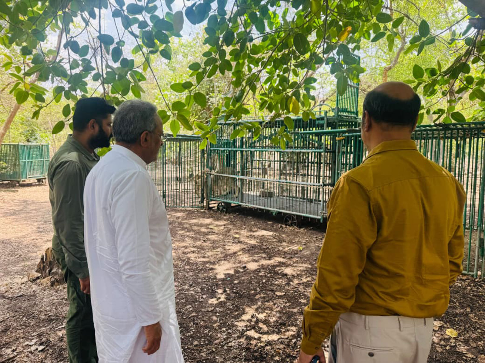 Forest and Environment Minister Arjunbhai Modhwadia at Gir forests (Photo/ANI)