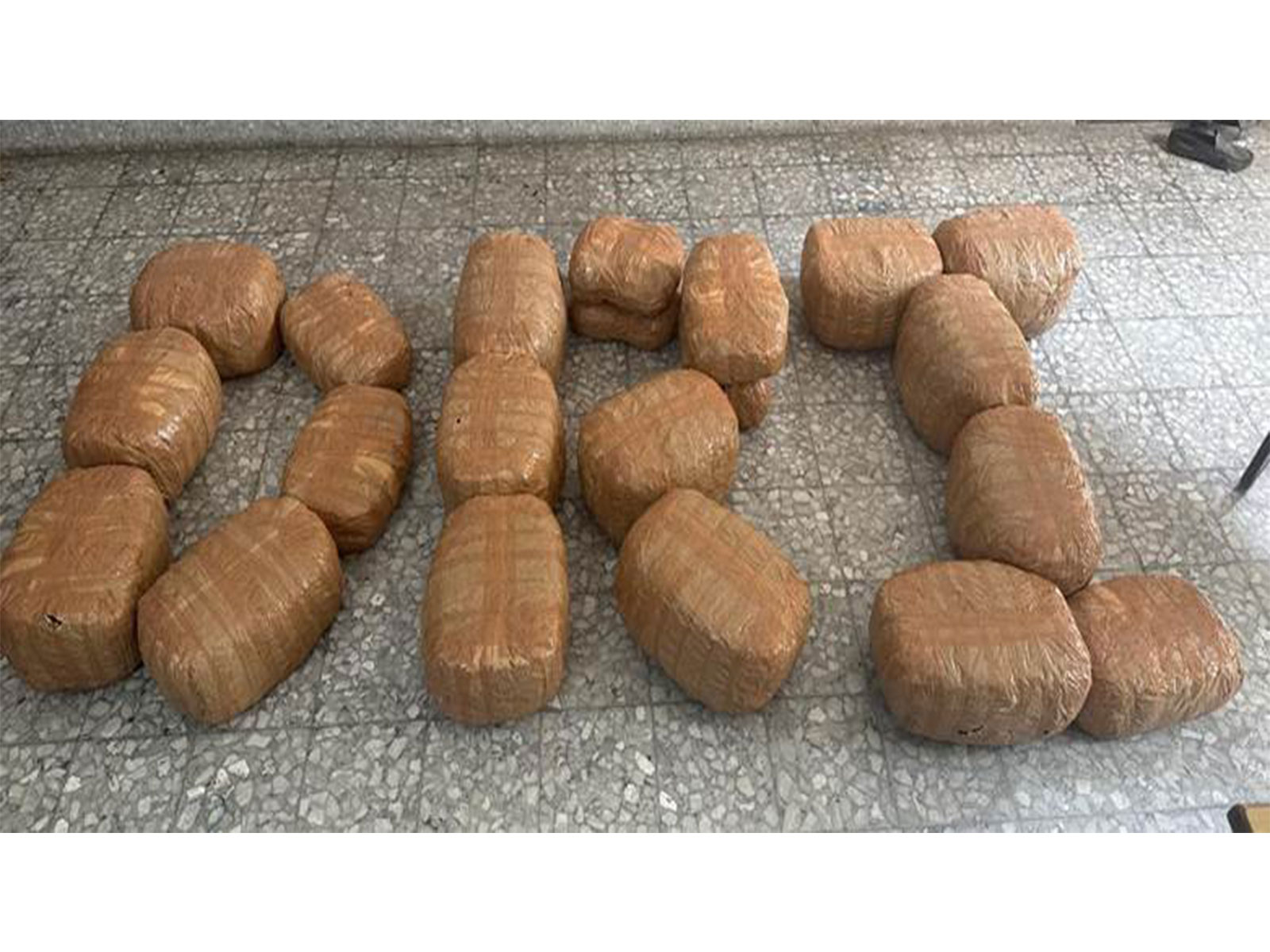 DRI seizes 105 kg cannabis in Bihar (Photo/PIB)