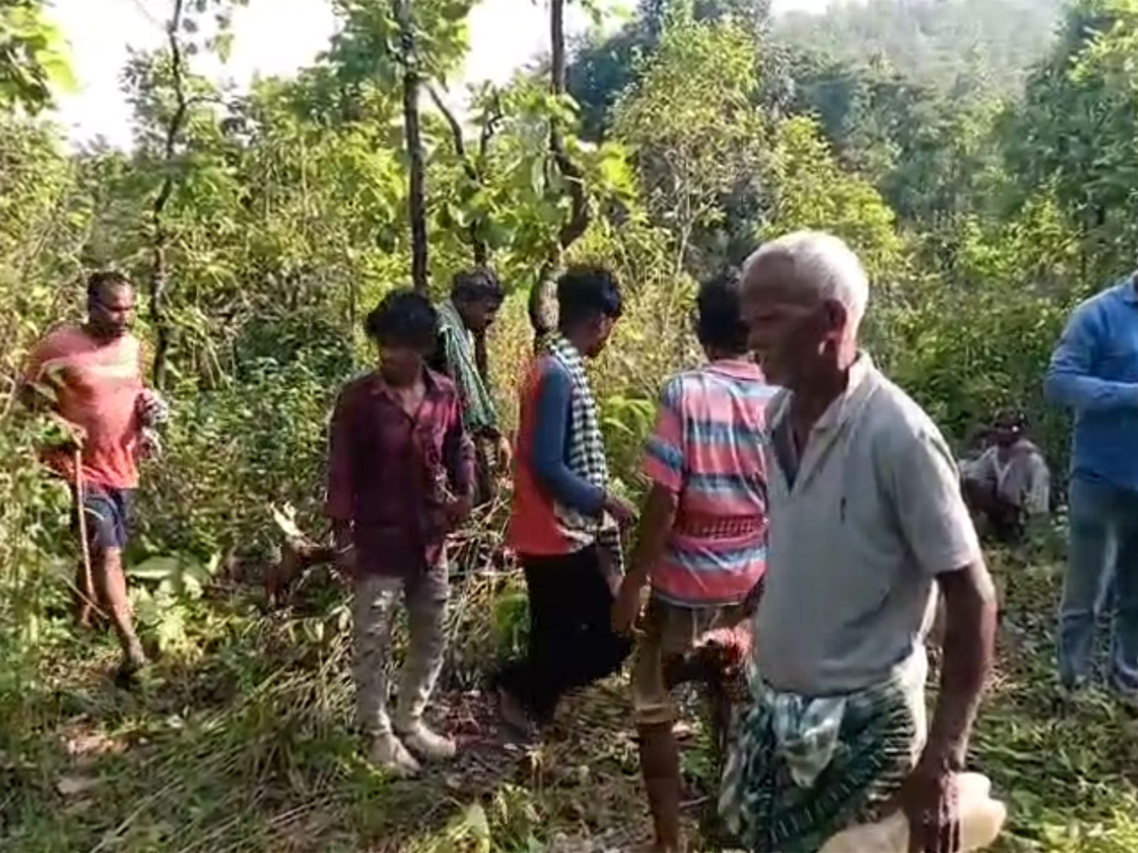 Visual from Mayurbhanj Forest in Odisha (Photo/Forest Department) Visual from Mayurbhanj Forest in Odisha (Photo/Forest Department)