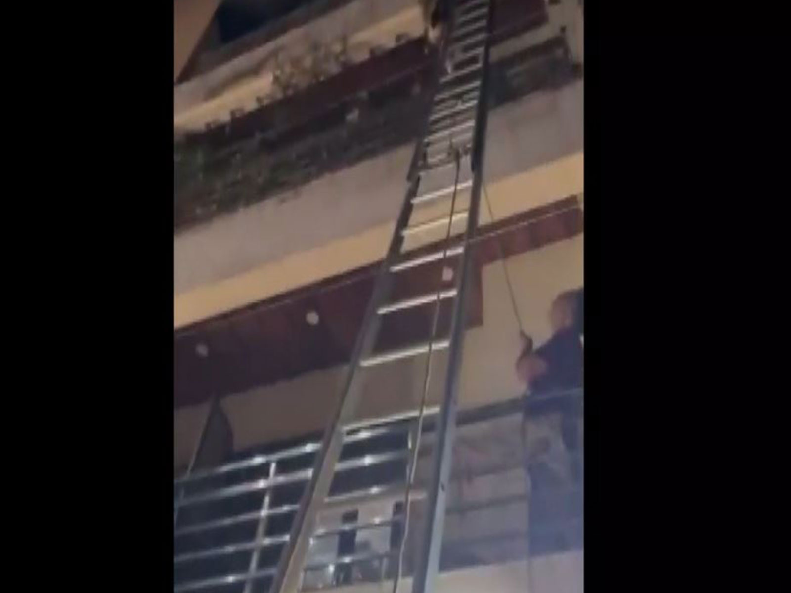 Firefighters deploy ladders to rescue trapped residents (Photo/ANI)