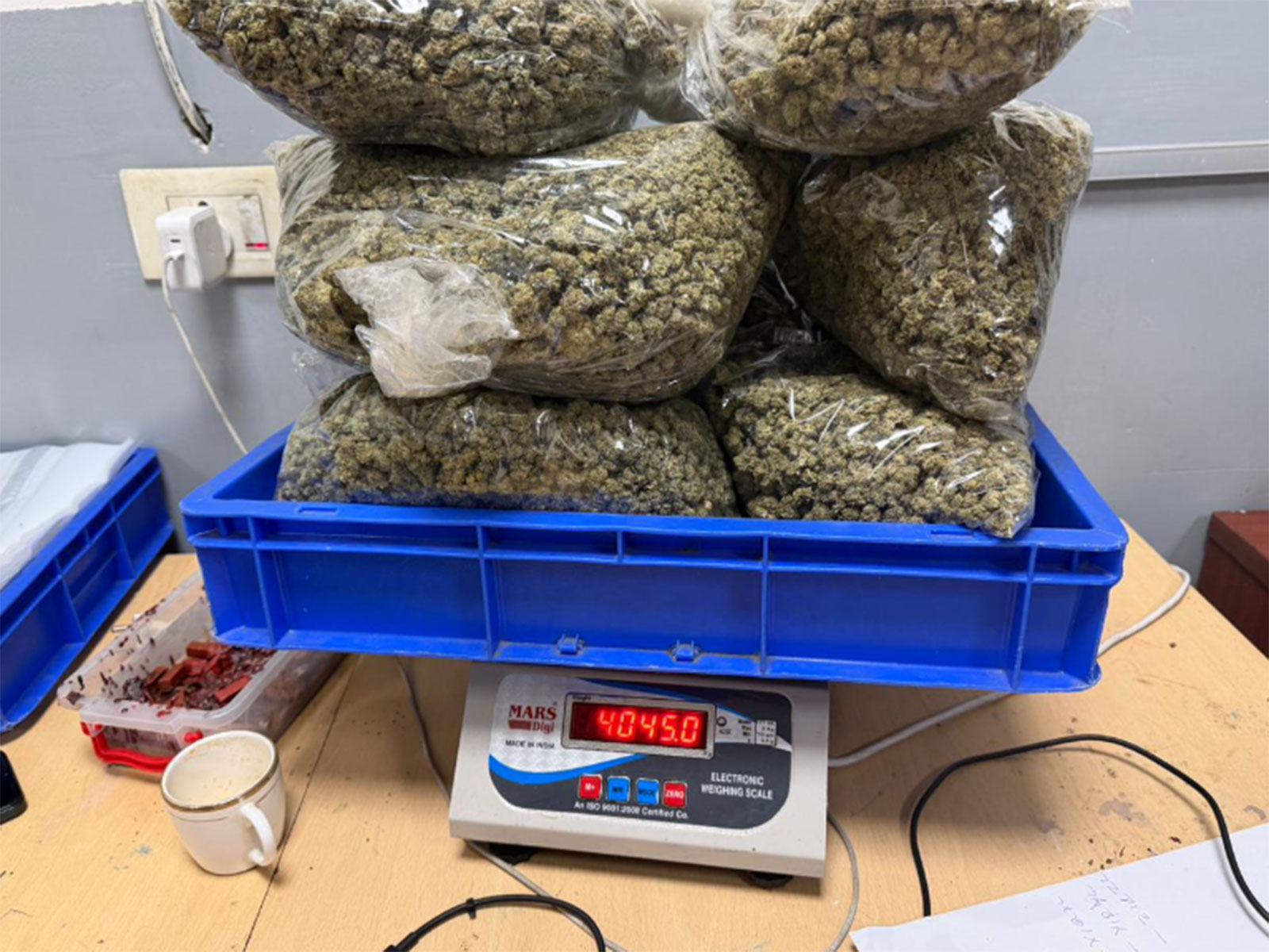 Vacuum-sealed packets suspected to contain Hydroponic Weed (Photo/Delhi Customs X handle) Vacuum-sealed packets suspected to contain Hydroponic Weed (Photo/Delhi Customs X handle)