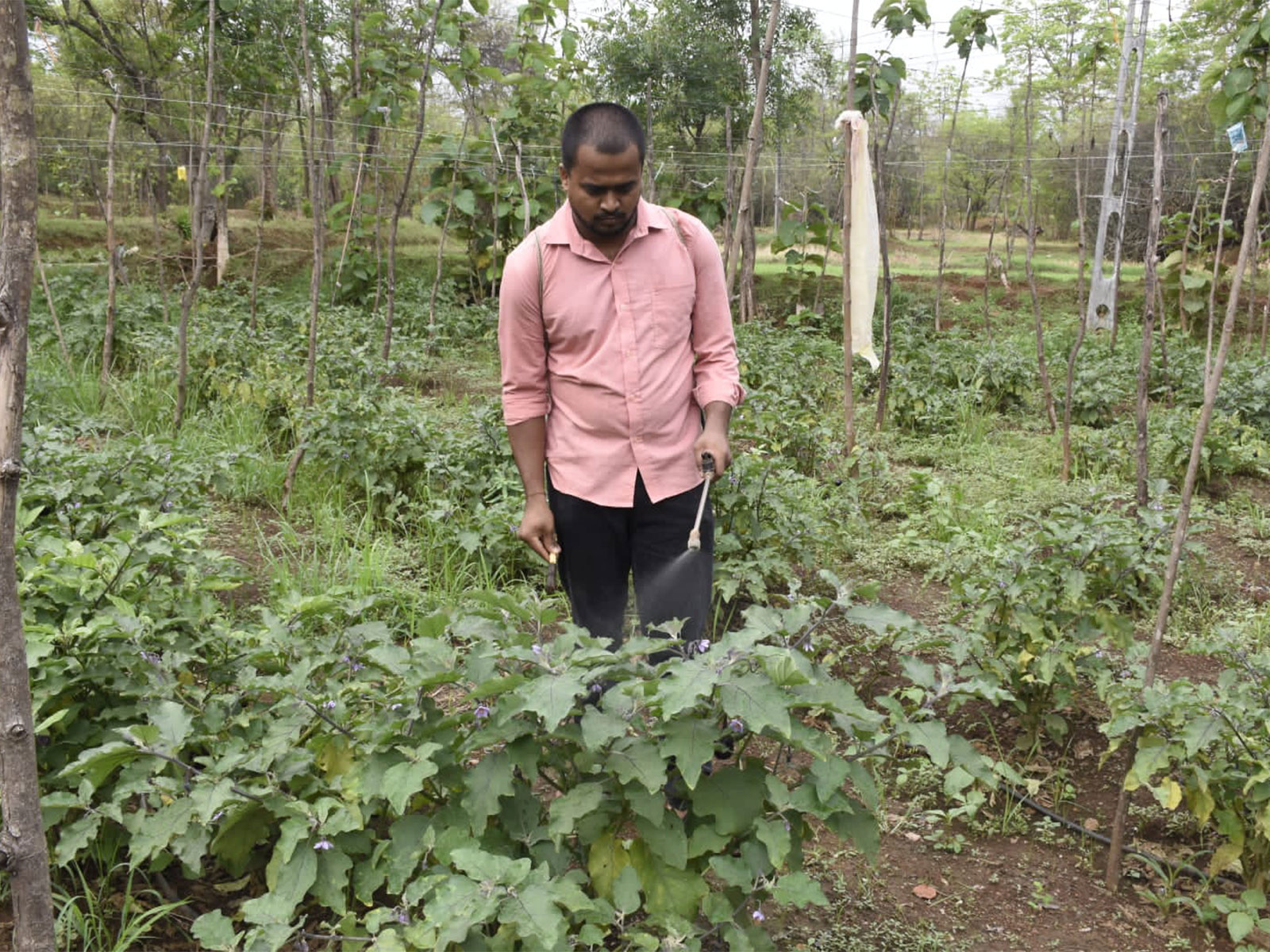 A farmer in Gujarat. (Photo/Gujarat CMO)