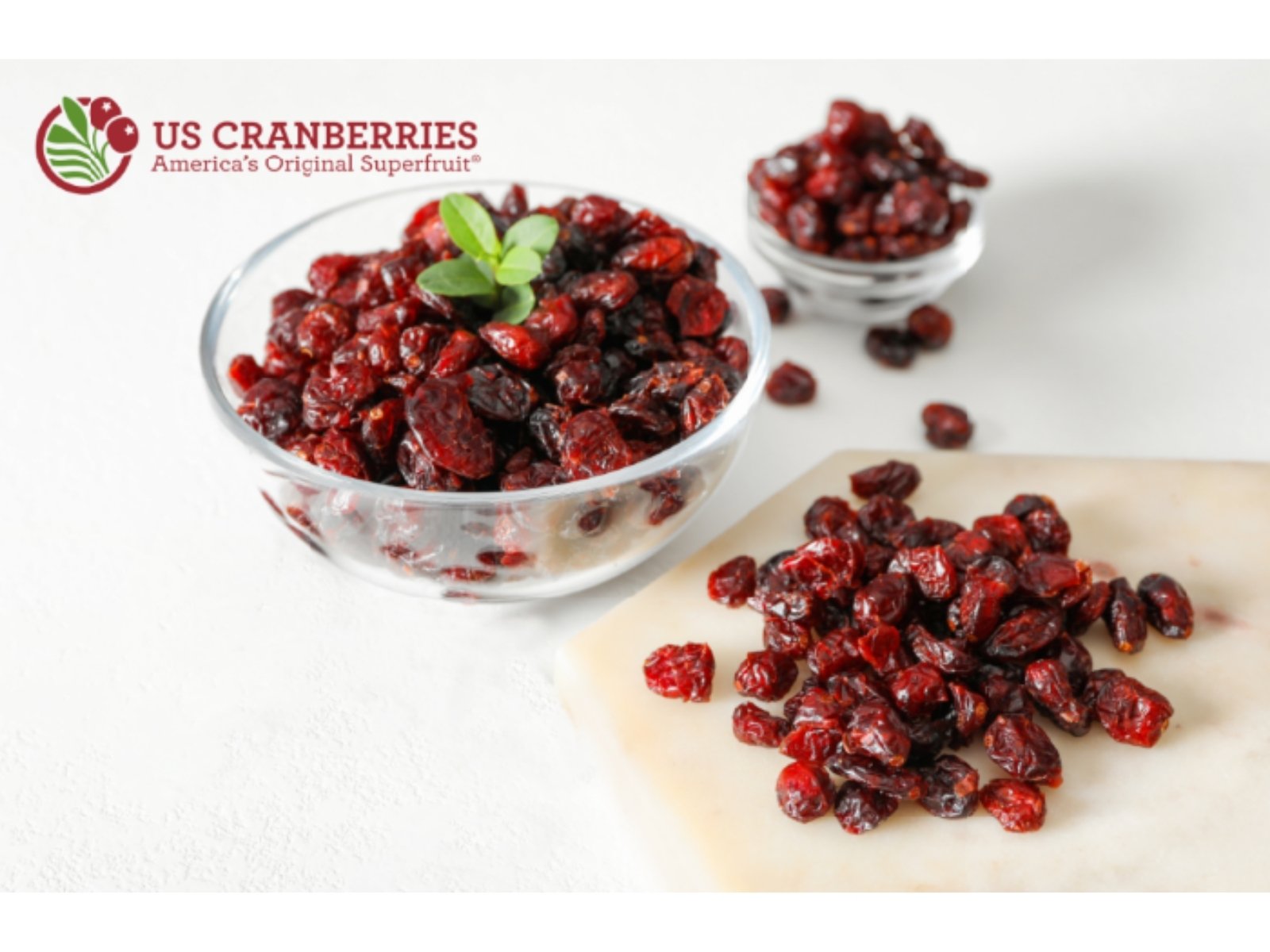 Cranberries and Digestive Health: Supporting the Stomach and Gut from Within Cranberries and Digestive Health: Supporting the Stomach and Gut from Within