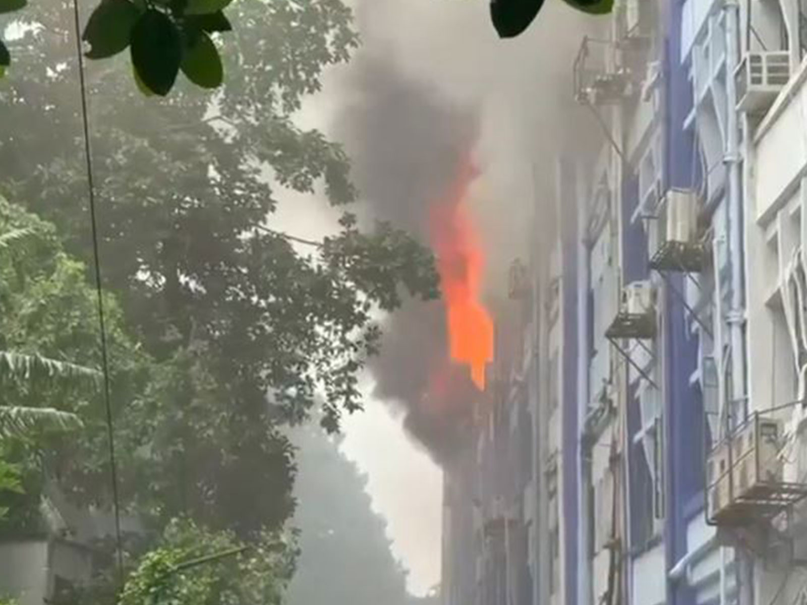 A fire broke out at the South 24 Parganas Zilla Parishad office near Alipore Court (Photo/ANI) A fire broke out at the South 24 Parganas Zilla Parishad office near Alipore Court (Photo/ANI)