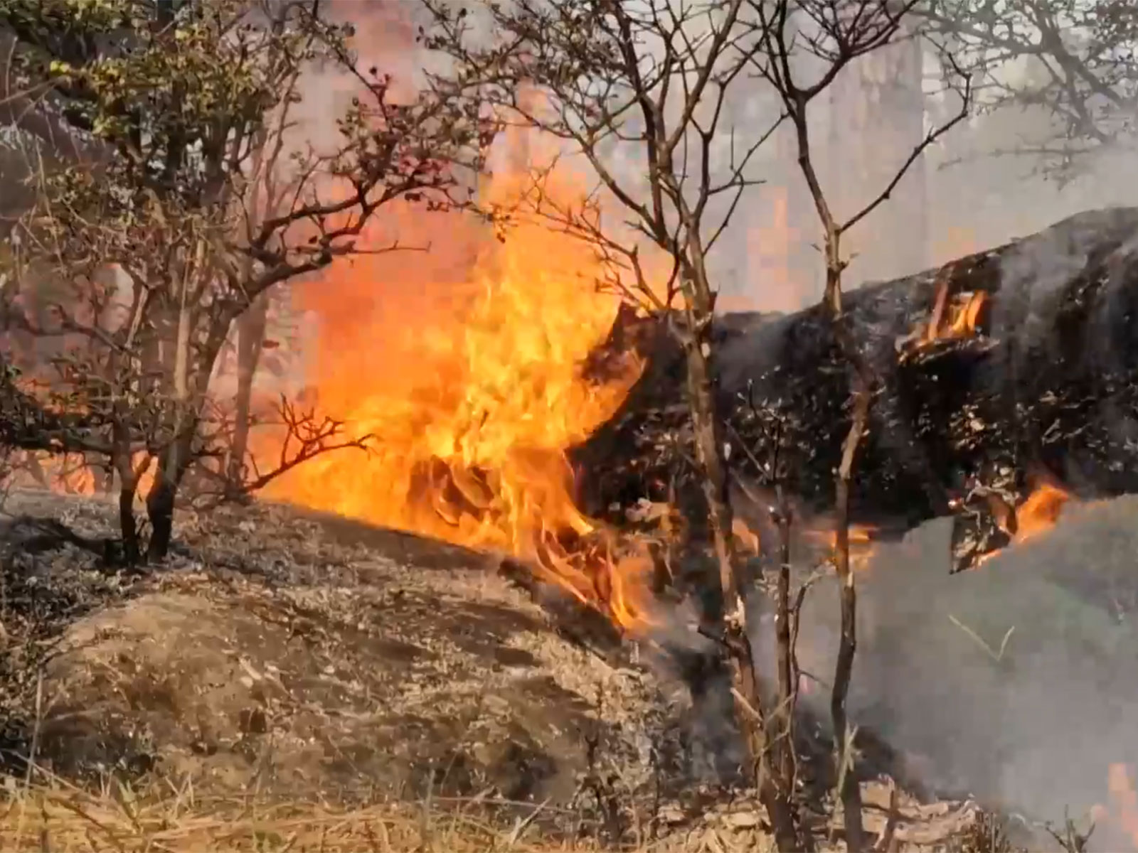 Visuals from the site (Photo/ANI)