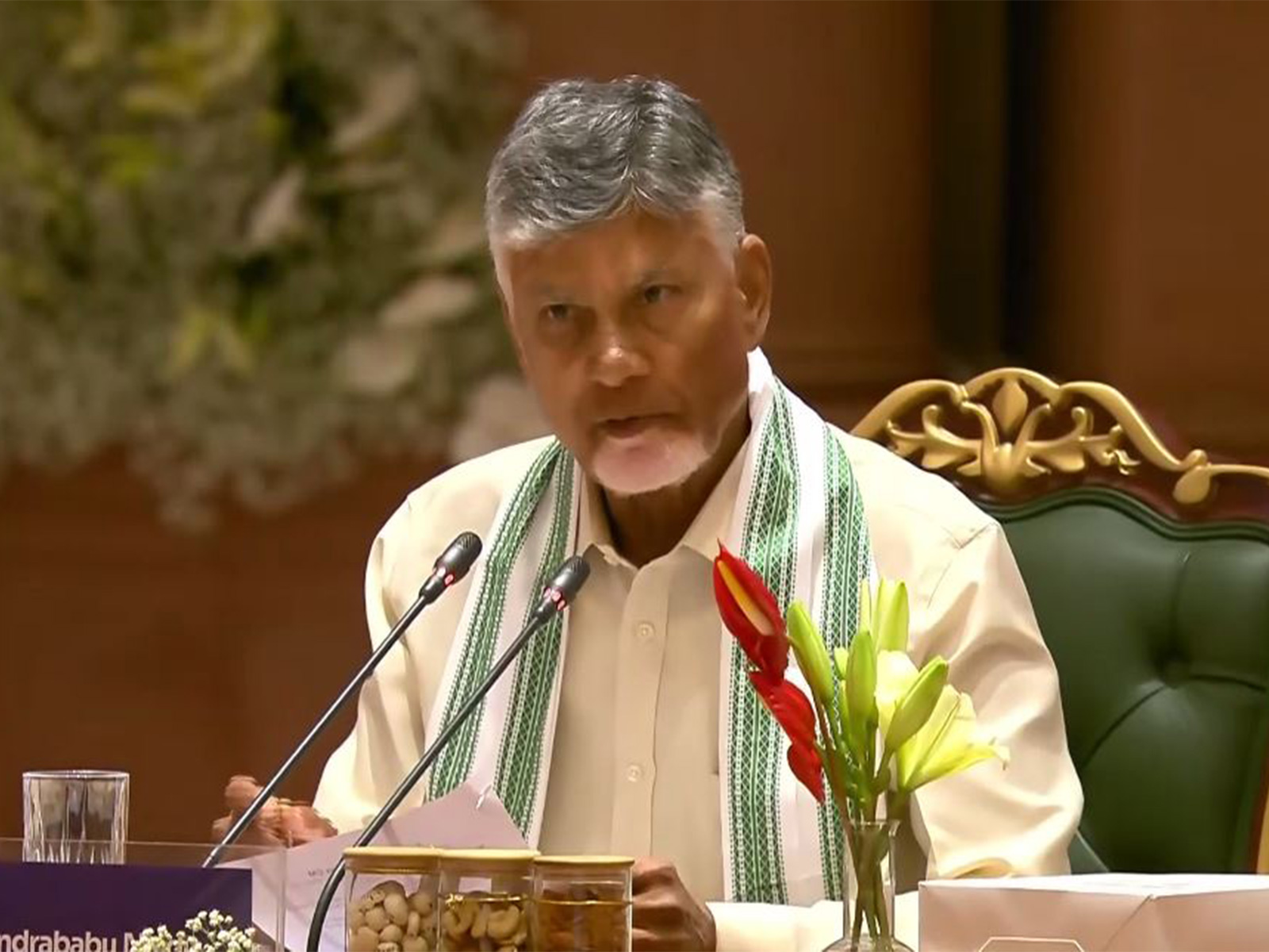 Andhra Pradesh Chief Minister N Chandrababu Naidu (Photo/DD News)