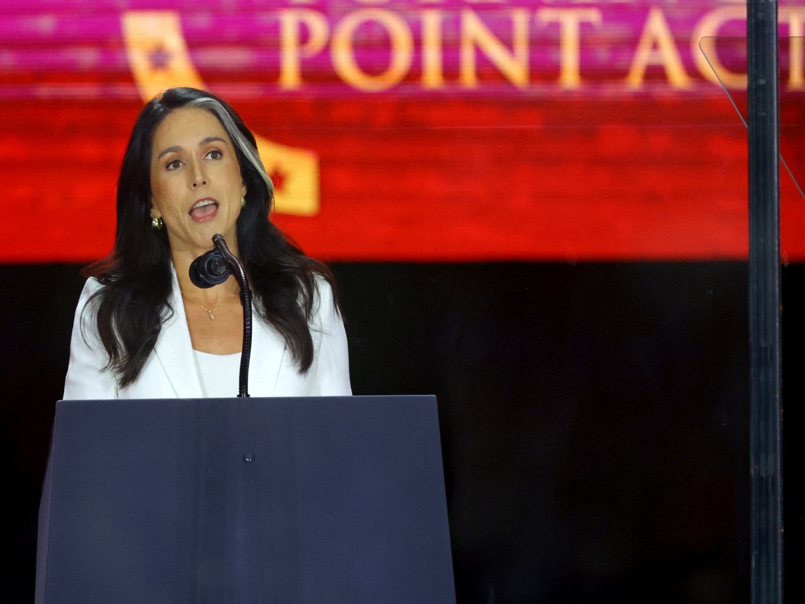 Director of National Intelligence (DNI) Tulsi Gabbard (Photo/Reuters) Director of National Intelligence (DNI) Tulsi Gabbard (Photo/Reuters)