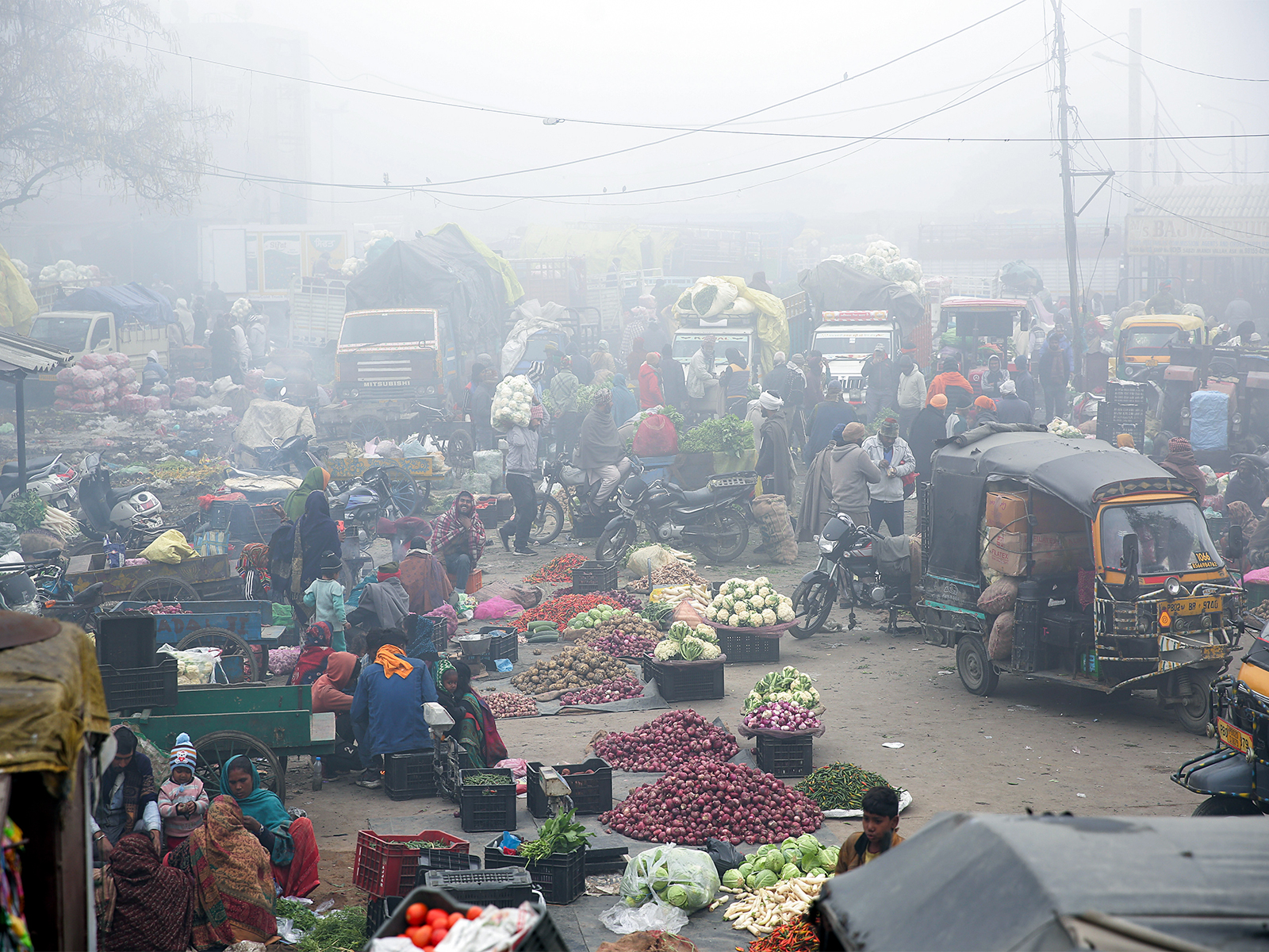 Representative Image (File Photo/ANI) Representative Image (File Photo/ANI)