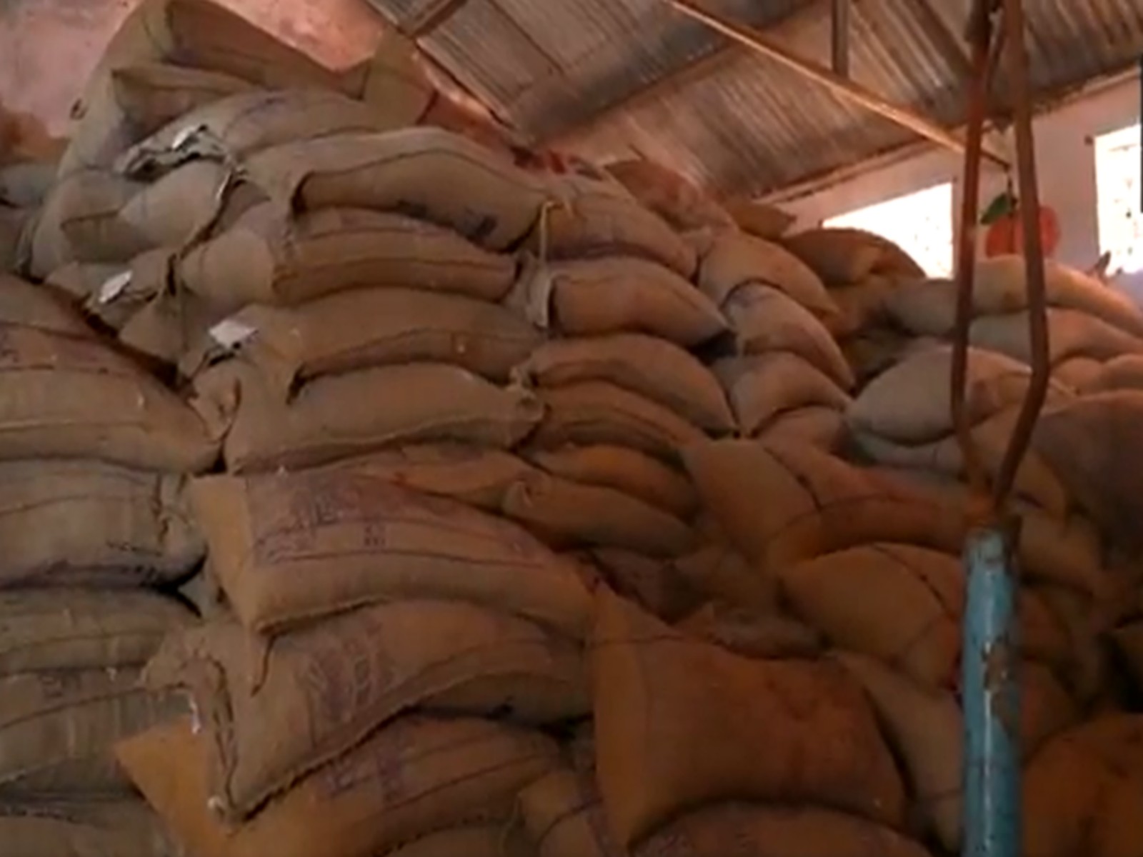 Stockpiles of food grains stored in advance (Photo/ANI) Stockpiles of food grains stored in advance (Photo/ANI)