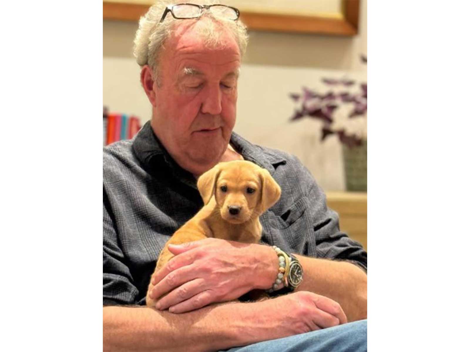 ‘Top Gear’ star Jeremy Clarkson diagnosed with cancer