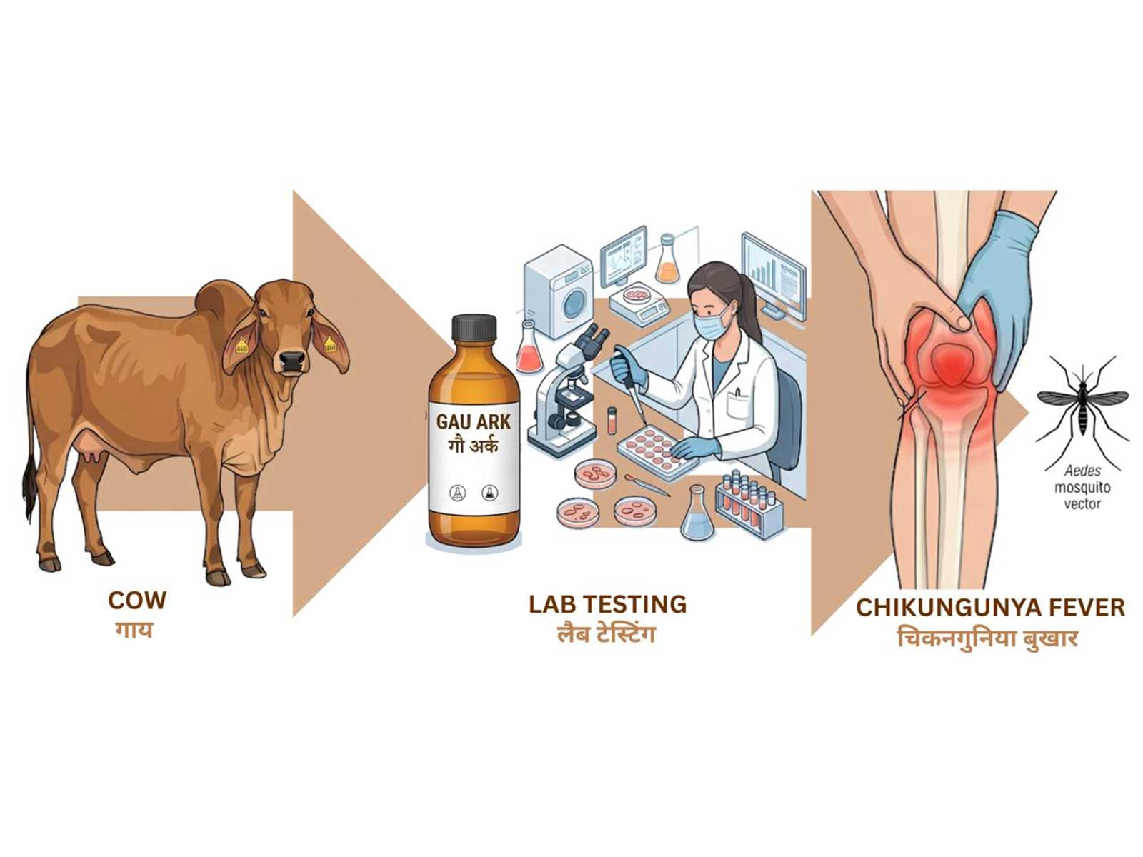 Roorkee scientists identify antiviral compounds in cow urine distillate against Chikungunya (Photo/Release)