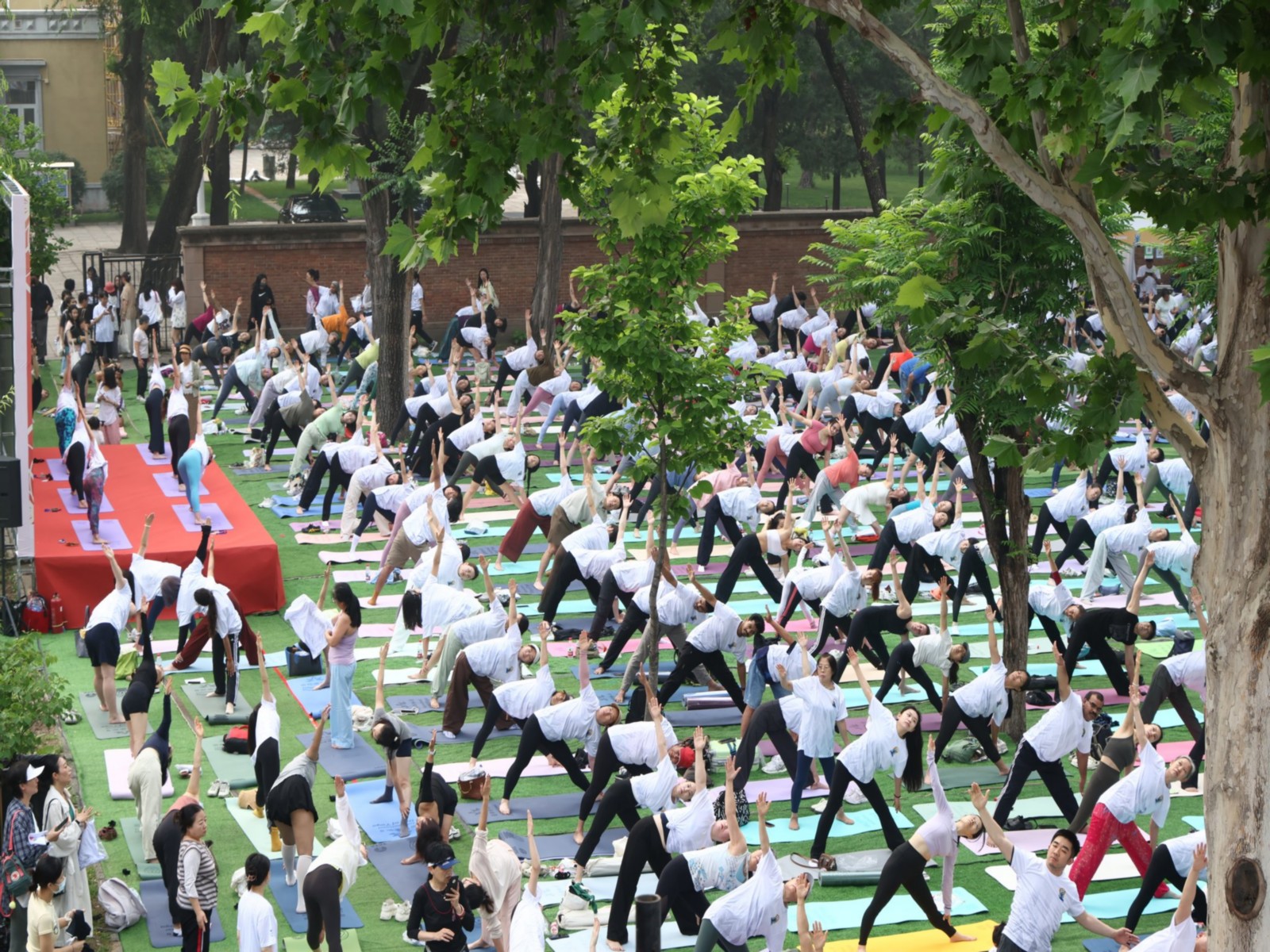 Yoga day celebrations in Beijing (Photo/X@EOIBeijing)