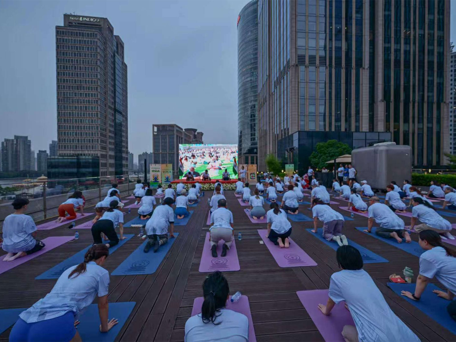12th edition of the International Day of Yoga in Shanghai (Photo: X@IndiaInShanghai) 12th edition of the International Day of Yoga in Shanghai (Photo: X@IndiaInShanghai)