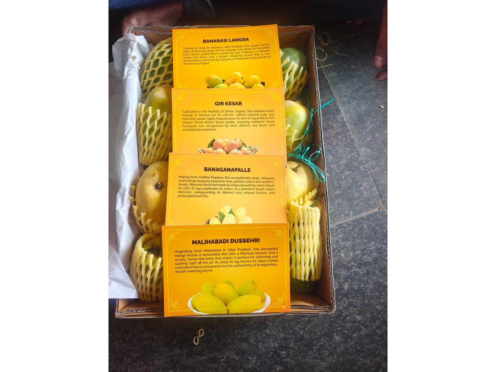BJP National President Nitin Nabin gifts four varieties of Indian mangoes to foreign envoys (Photo/ANI)