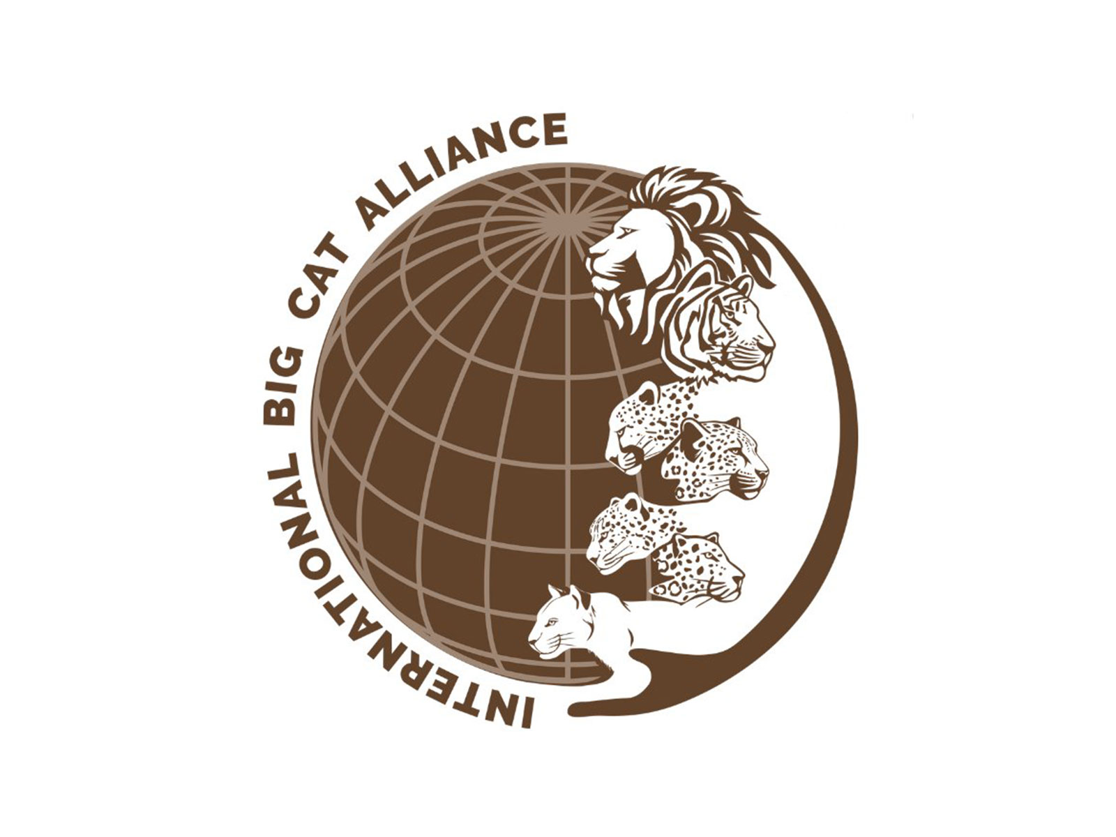 Logo of International Big Cat Alliance (Photo/X@IBCA_official) Logo of International Big Cat Alliance (Photo/X@IBCA_official)