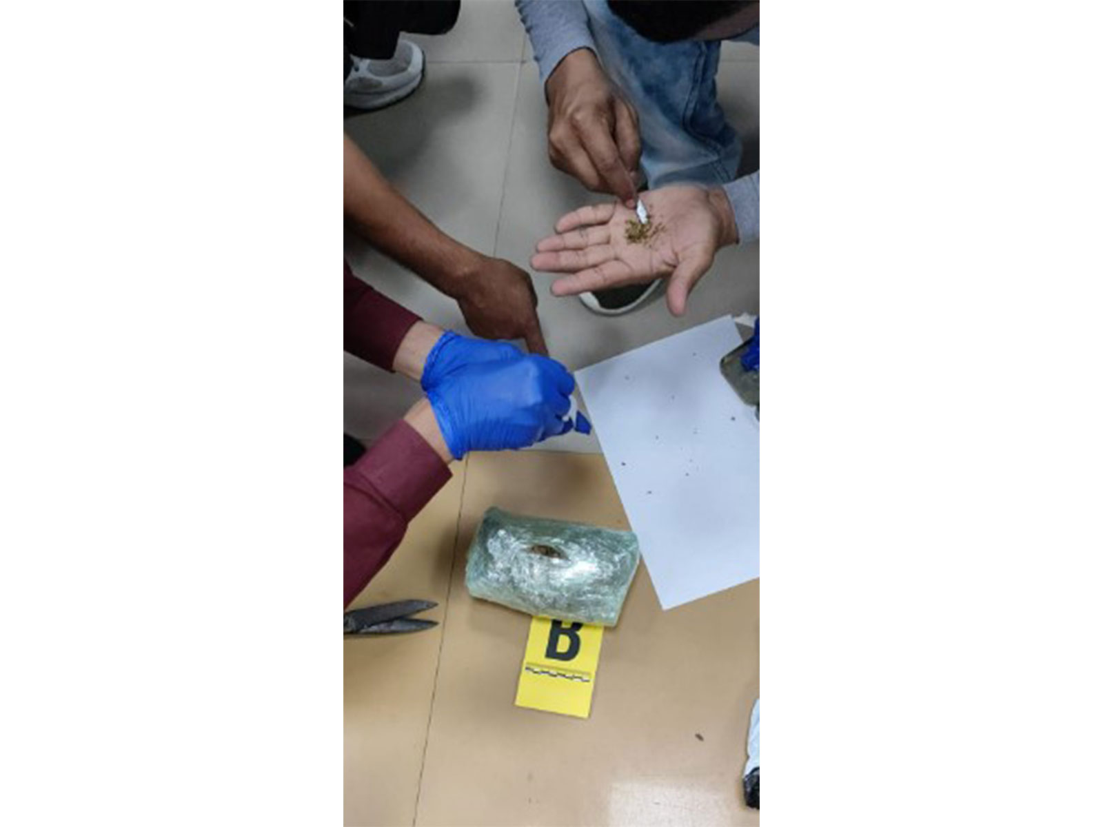 CISF seizes 420 grams of suspected cannabis  (Photo/X@CISFHQrs)