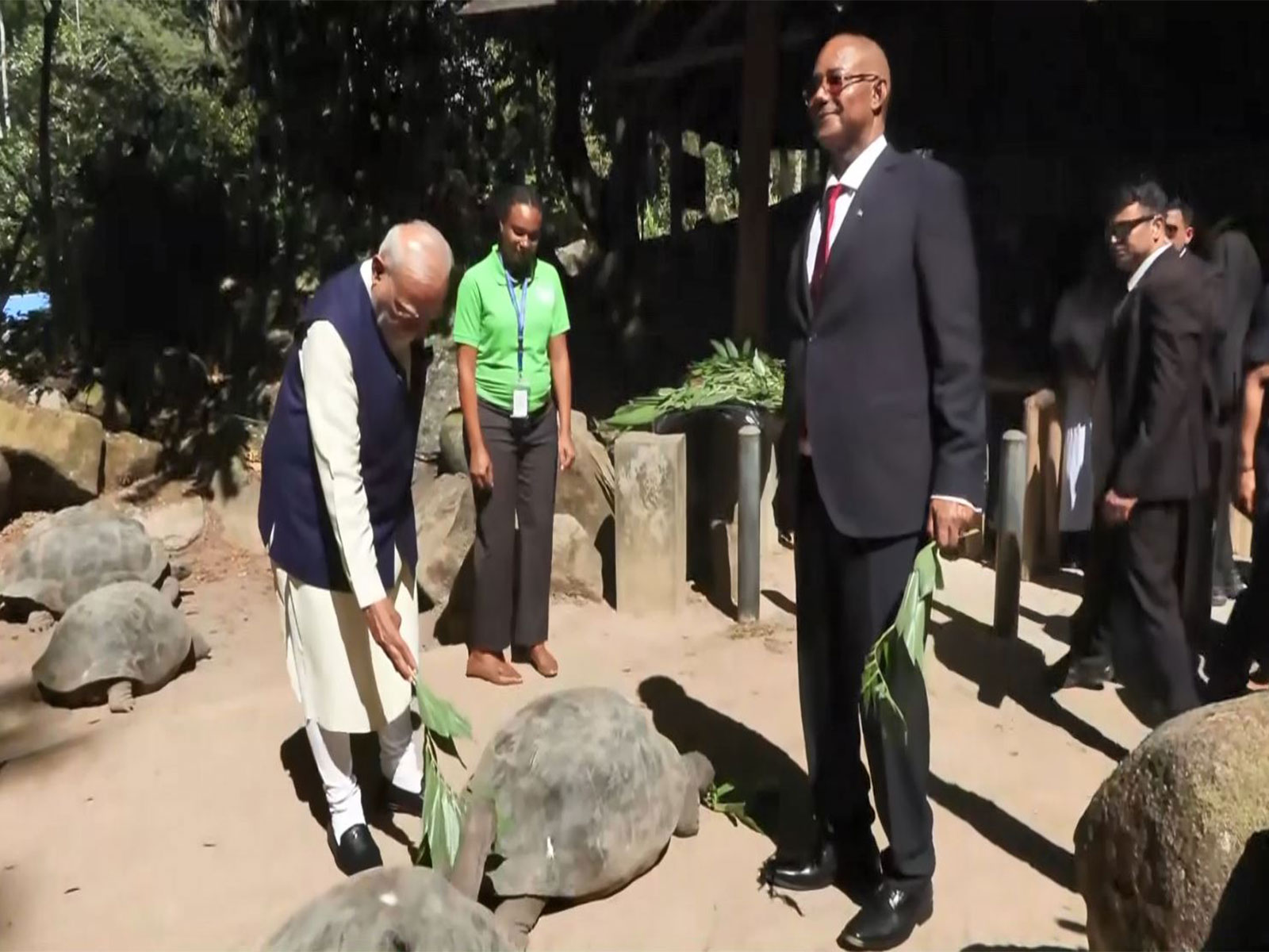 Prime Minister Narendra Modi feeds Jonathan, the world's oldest living land animal, during a visit to the National Botanical Garden of Seychelles in Victoria, accompanied by Seychelles President Patrick Herminie. (Image Source: ANI/DD)