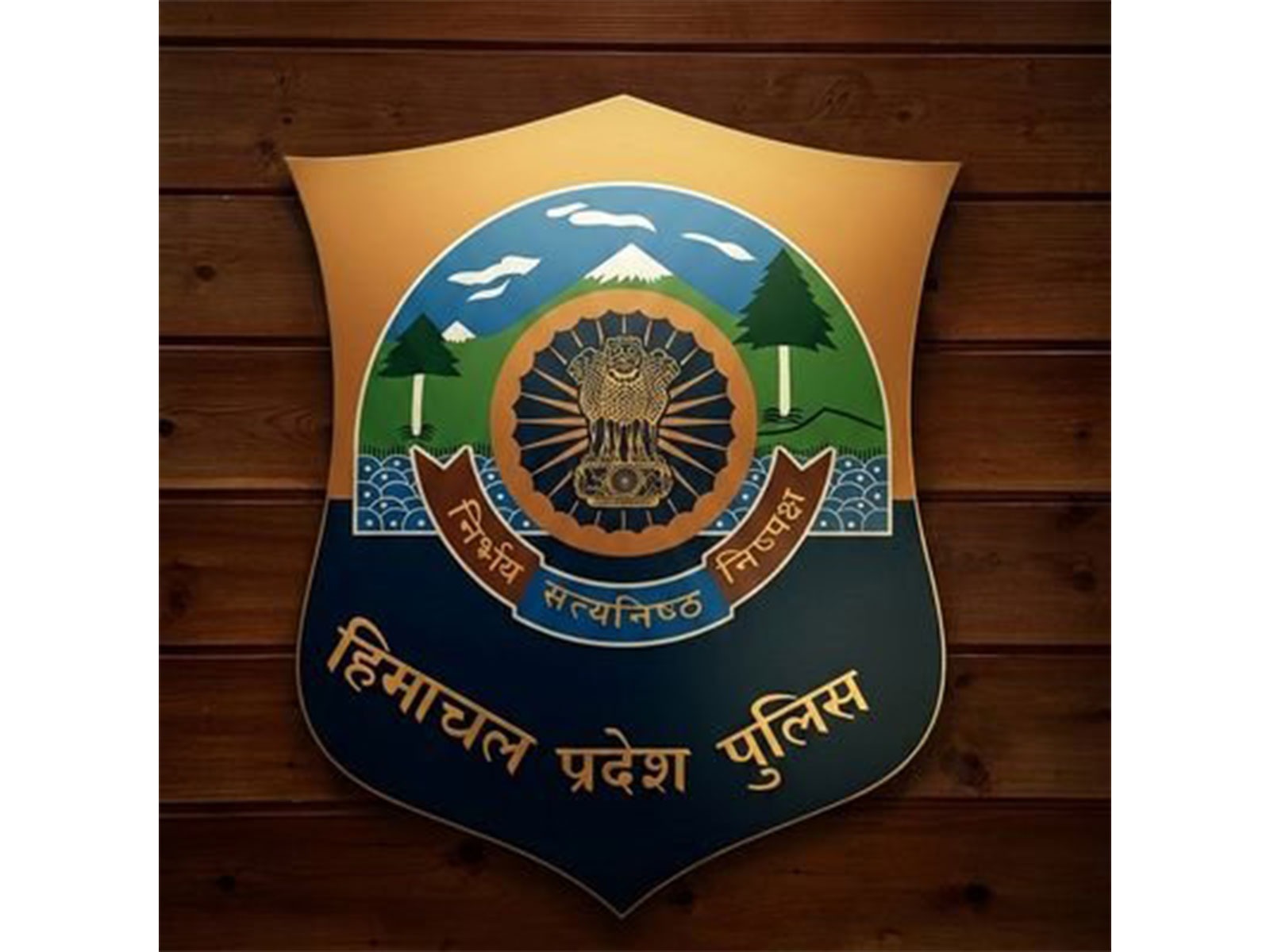 Logo of Himachal Pradesh Police (Photo/X/@himachalpolice)