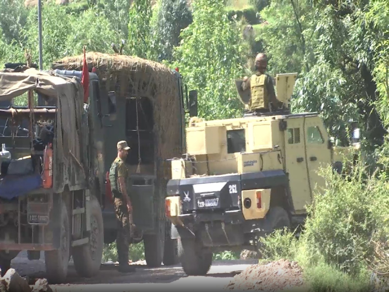 Security forces conducting 'operation Sheruwali' (Photo/ANI)