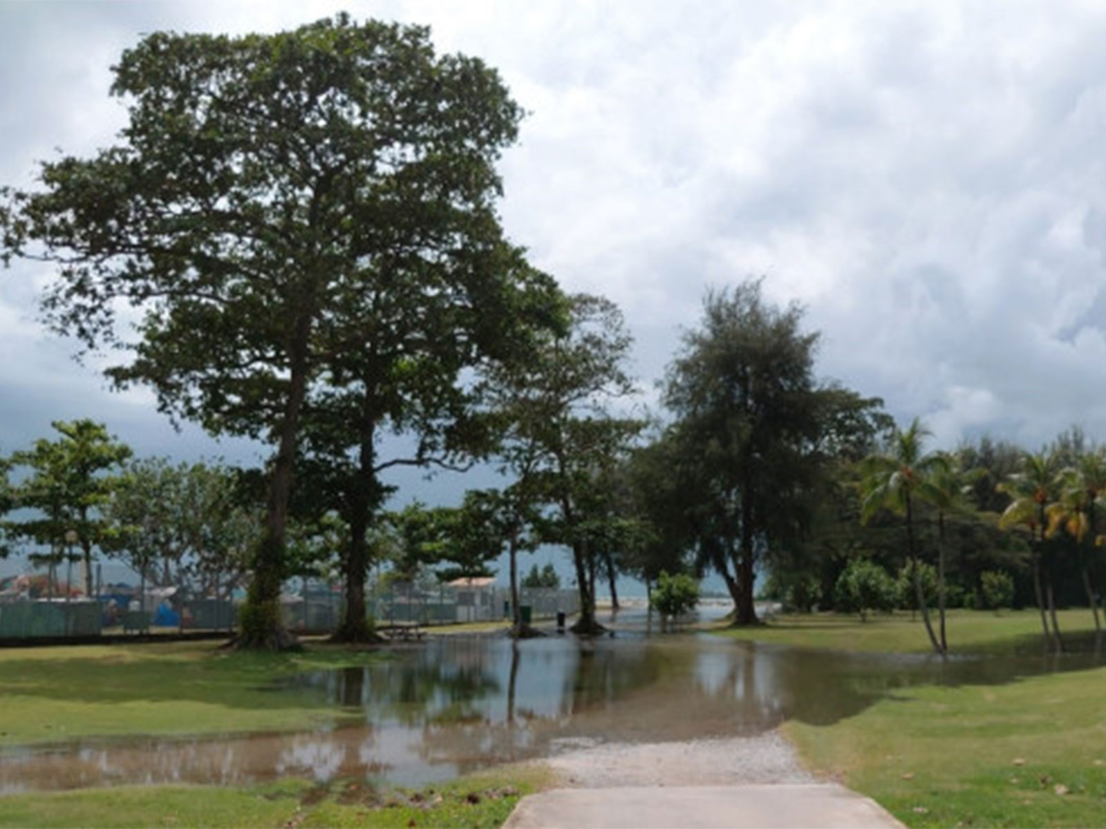 The East Coast Park in Singapore. (Photo credit/National Parks Board) The East Coast Park in Singapore. (Photo credit/National Parks Board)