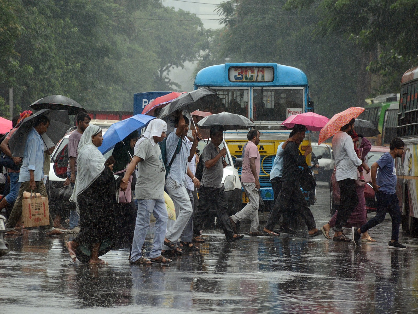 Rainfall in Kolkata (Photo/ANI) Rainfall in Kolkata (Photo/ANI)