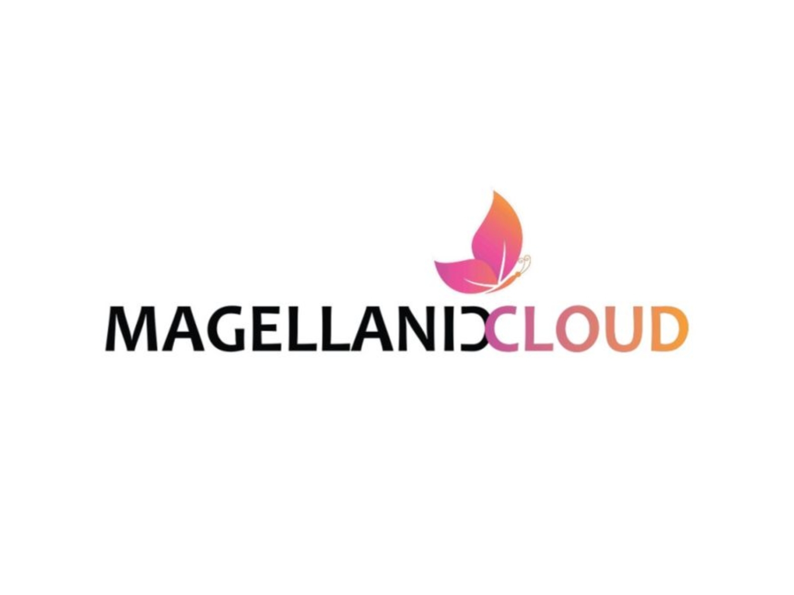 Magellanic Cloud’s Subsidiary IVIS Secures Letter of Intent from Manappuram Finance for AI-Powered E-Surveillance across ~1,000+ Branches
