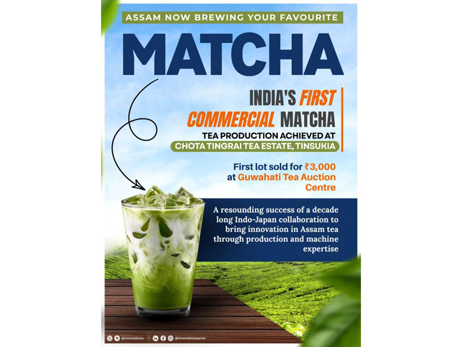 Assam tea estate launches India’s first Matcha tea  (Photo/@himantabiswa)