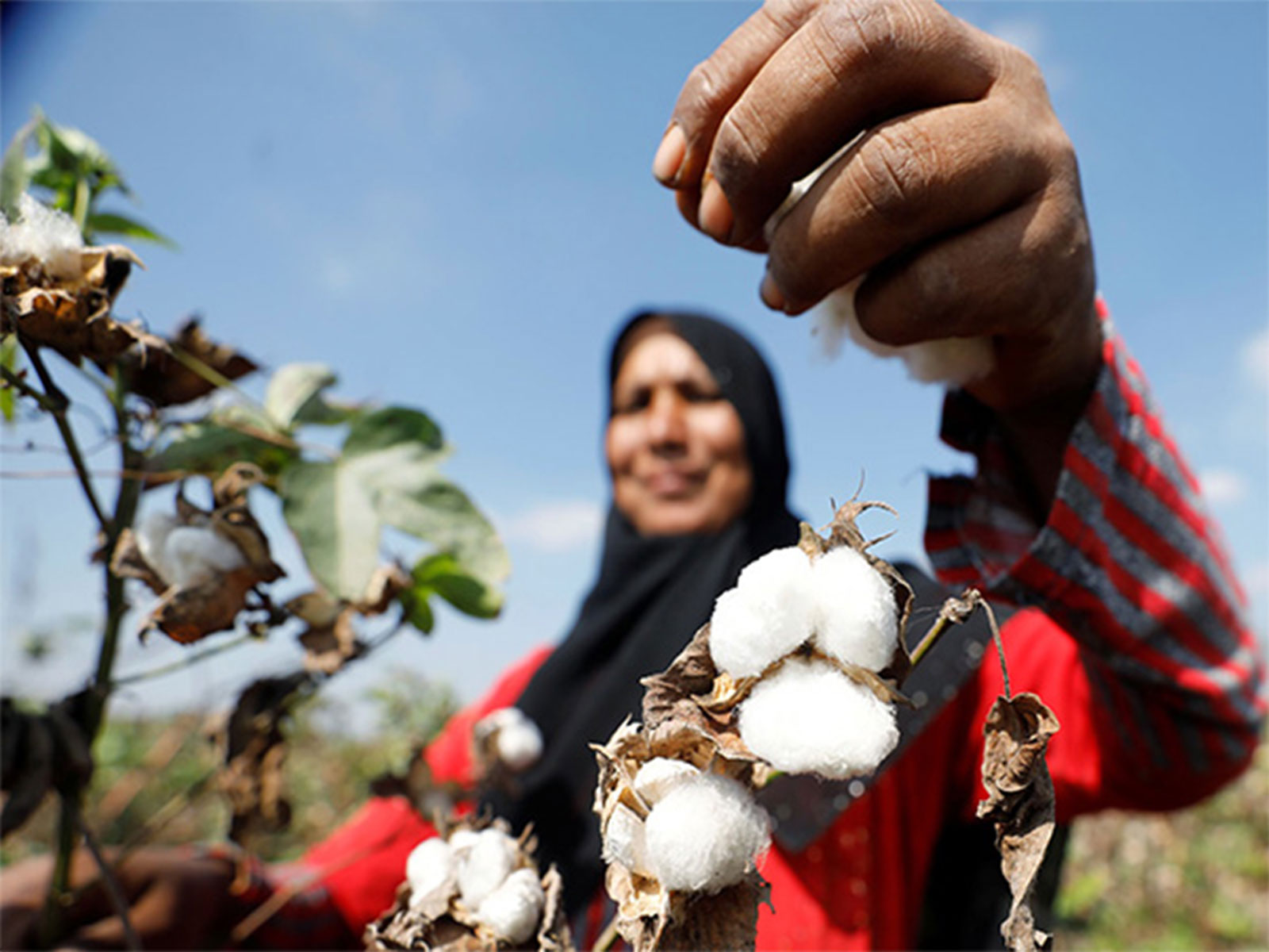 Representative Image (Photo/Reuters) Representative Image (Photo/Reuters)