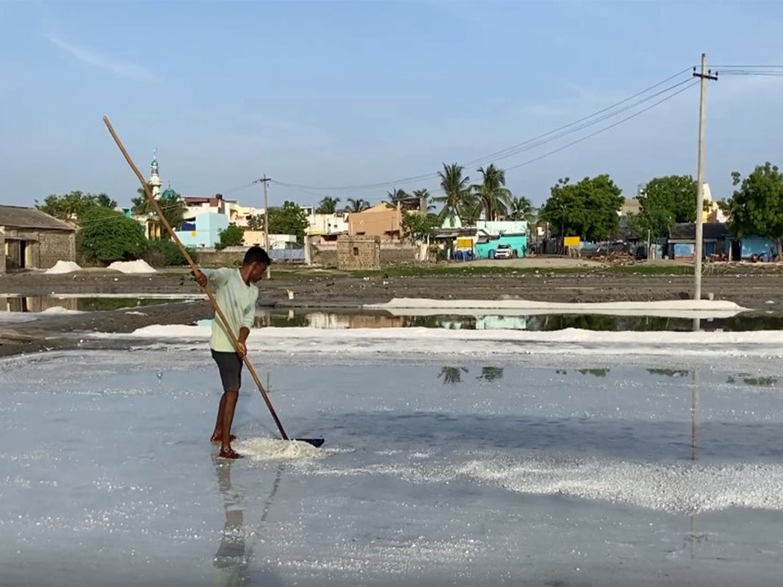 Salt pans in Thoothukudi (Photo/ANI)
