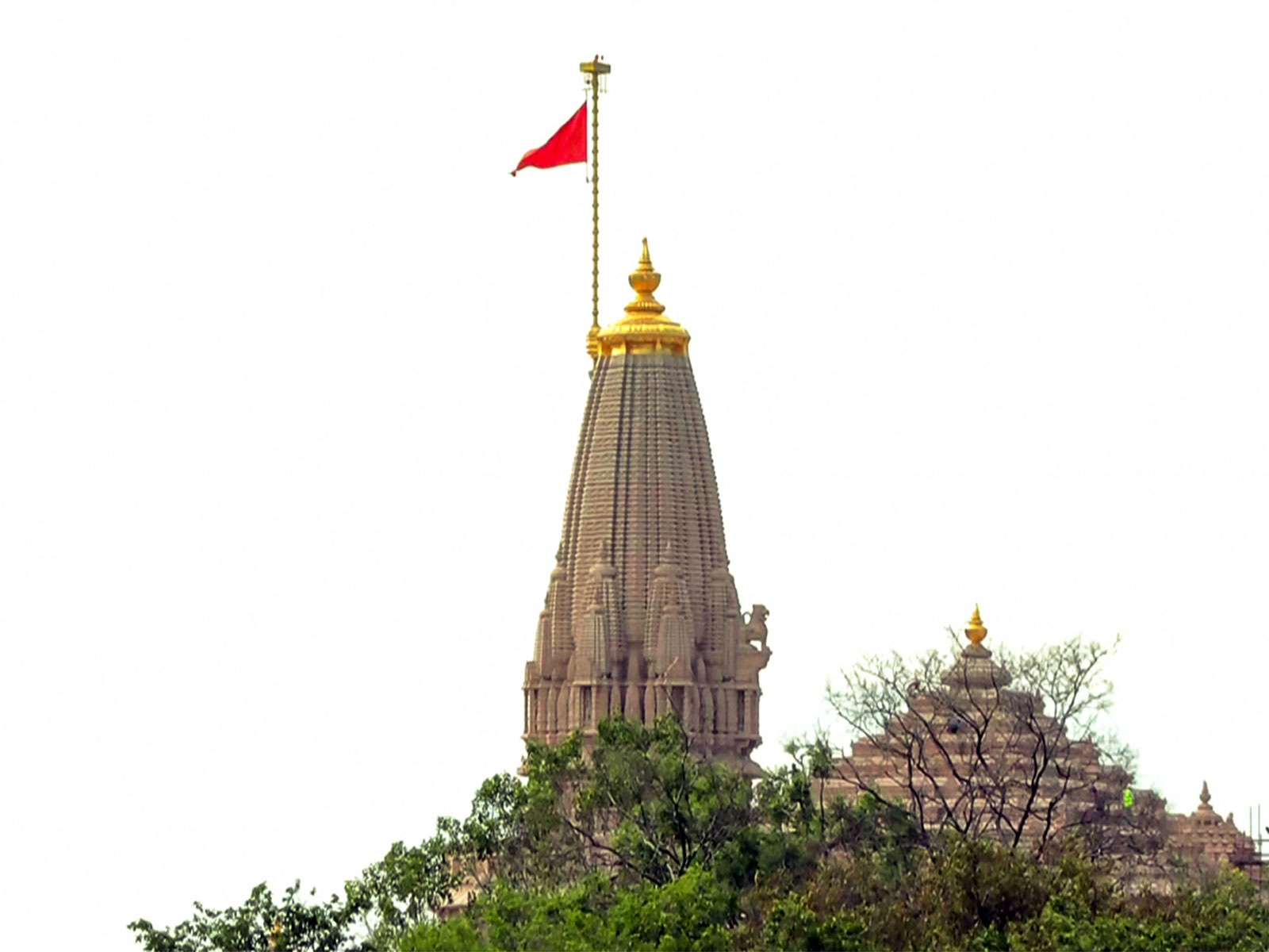 Shri Ram Janmabhoomi Mandir (File Photo/ANI)