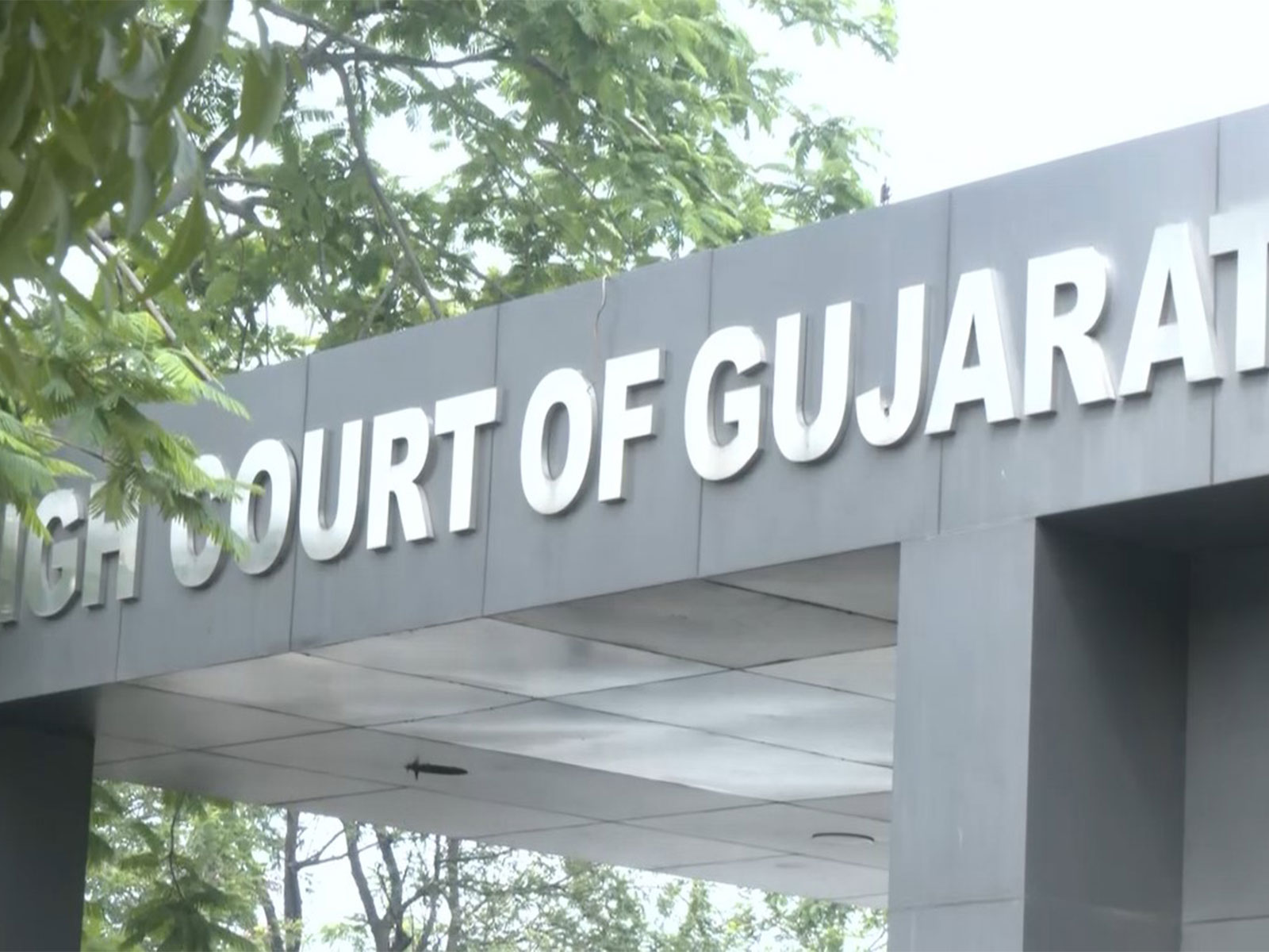 Gujarat High Court (Photo/ANI) Gujarat High Court (Photo/ANI)