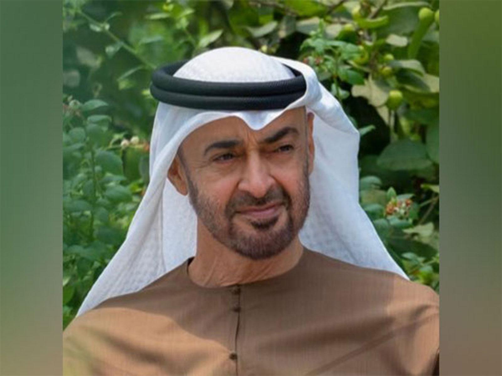 Deputy Prime Minister and Minister of Foreign Affairs of UAE Sheikh Abdullah bin Zayed Al Nahyan (Photo/X/@MohamedBinZayed)) Deputy Prime Minister and Minister of Foreign Affairs of UAE Sheikh Abdullah bin Zayed Al Nahyan (Photo/X/@MohamedBinZayed))