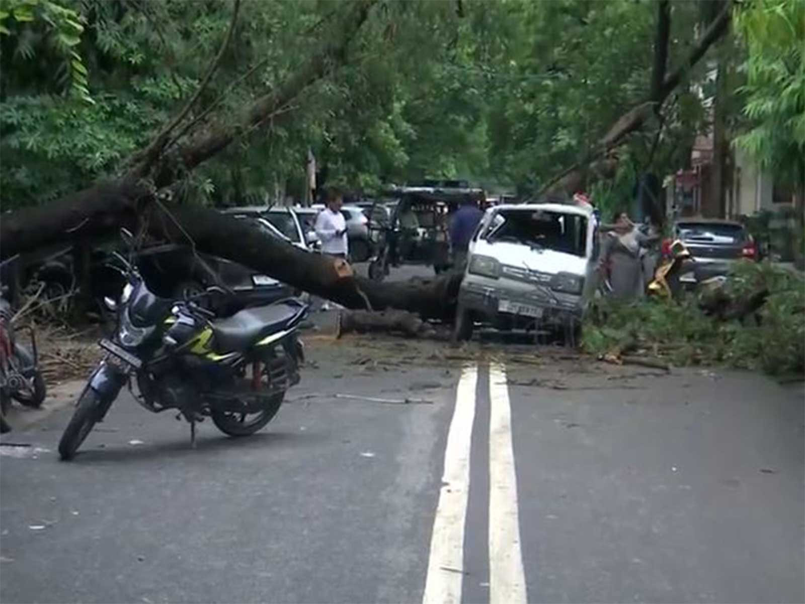 A tree fell on a van in Rohini Sector 15 area (Photo/ANI) A tree fell on a van in Rohini Sector 15 area (Photo/ANI)