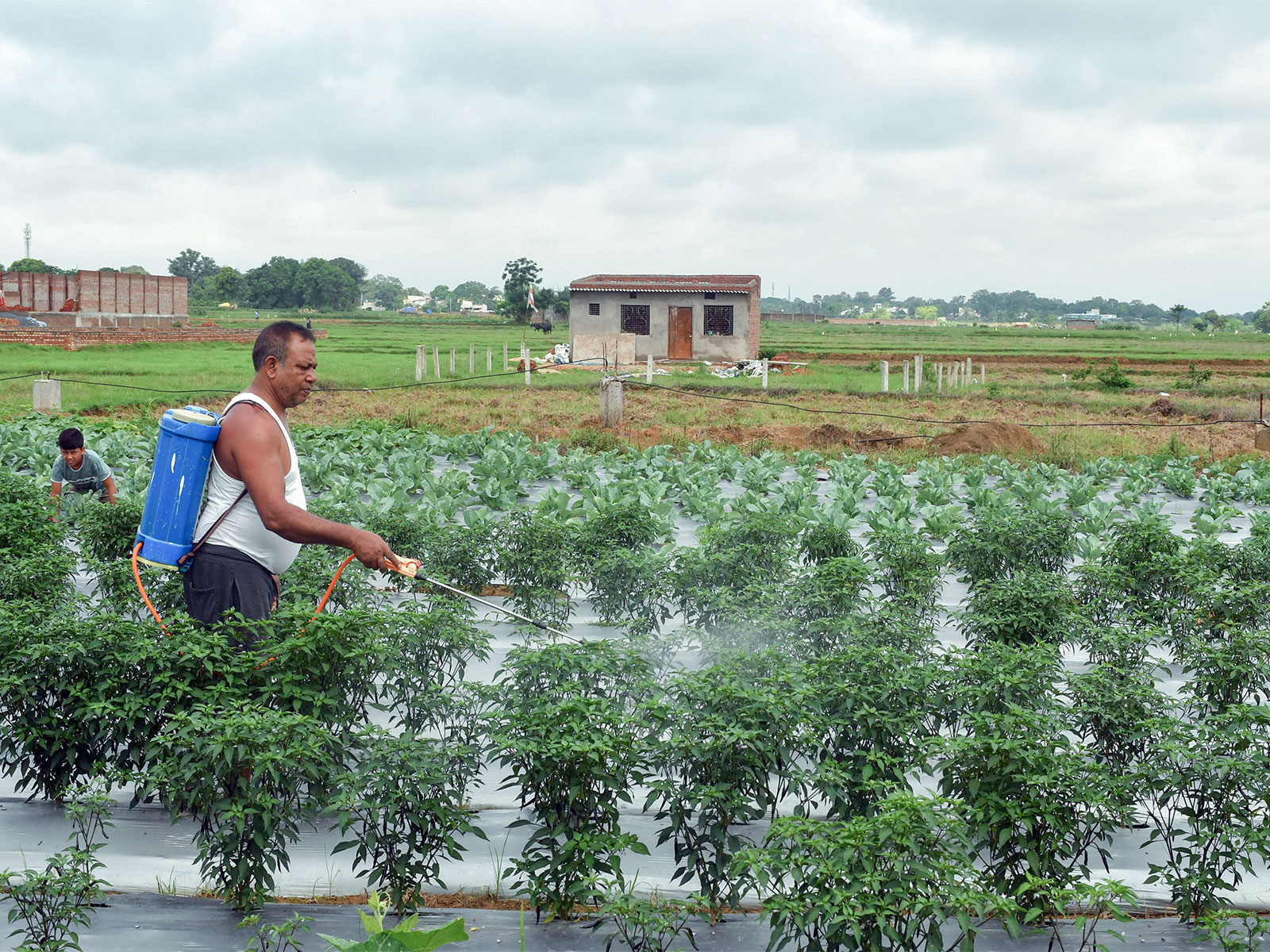 Representative Image (File Photo/ANI) Representative Image (File Photo/ANI)