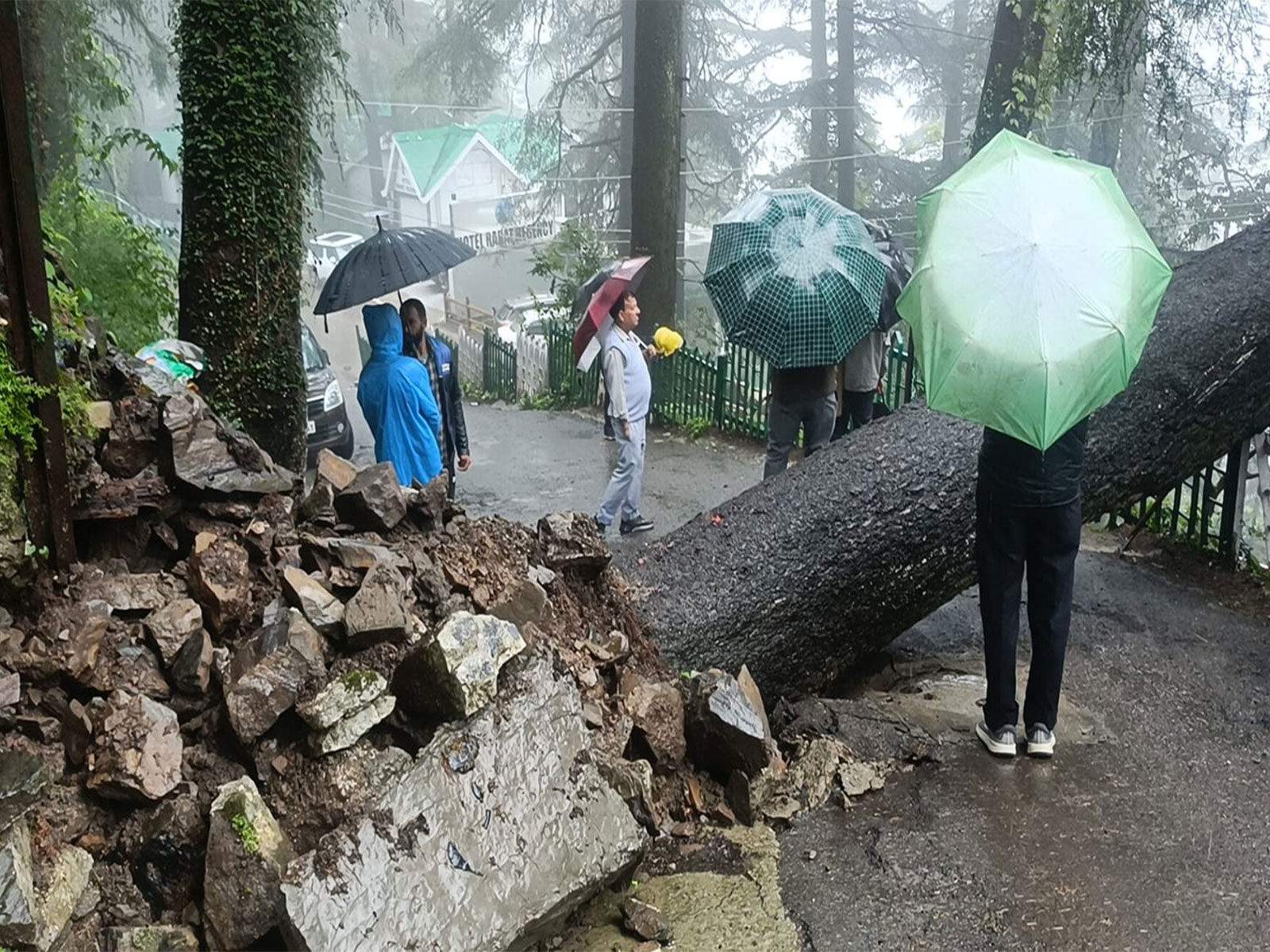 Fallen tree blocked the Banmore road (Photo/ANI) Fallen tree blocked the Banmore road (Photo/ANI)