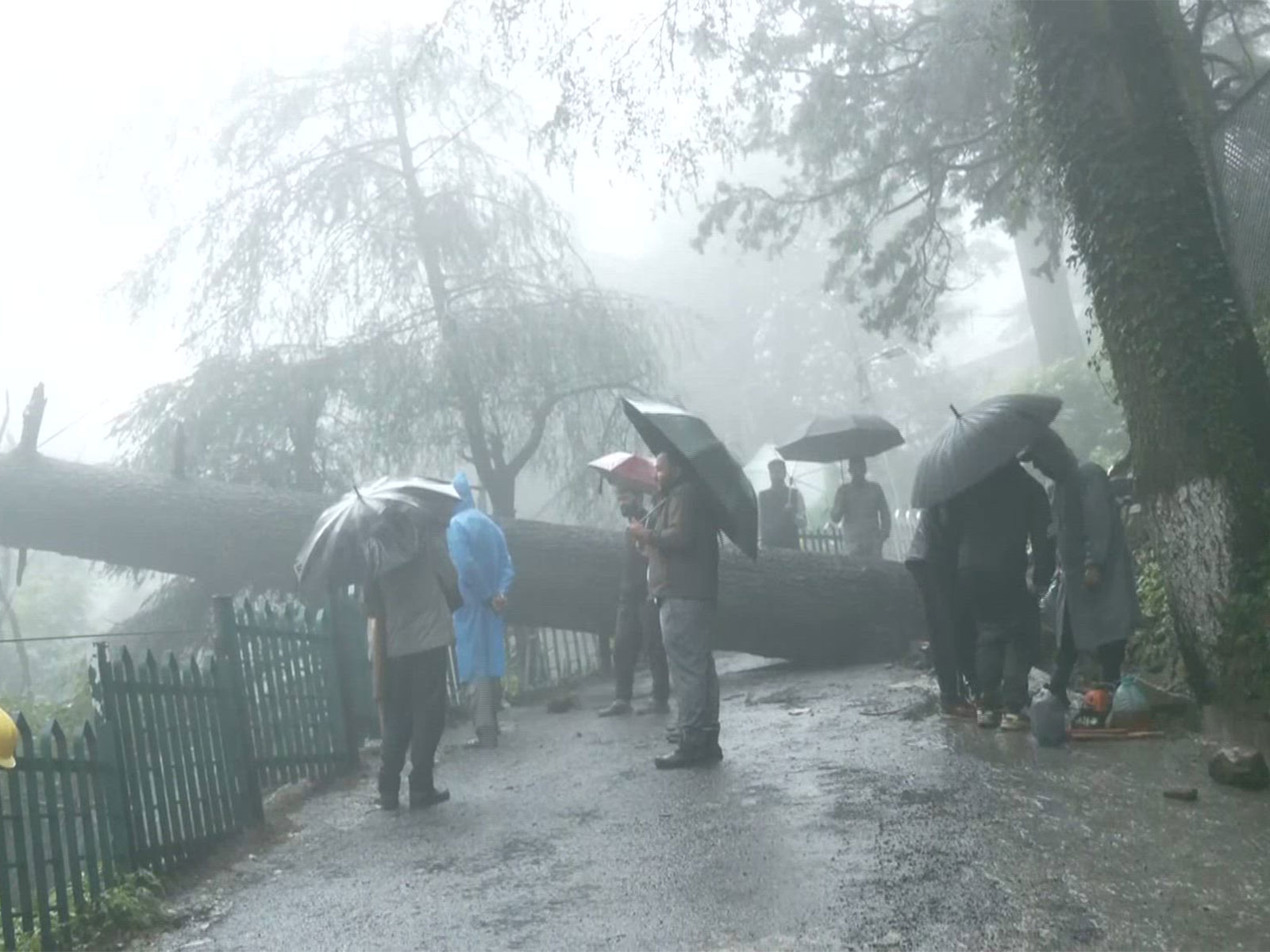 Heavy rainfall continued to batter Himachal Pradesh (Photo/ANI)