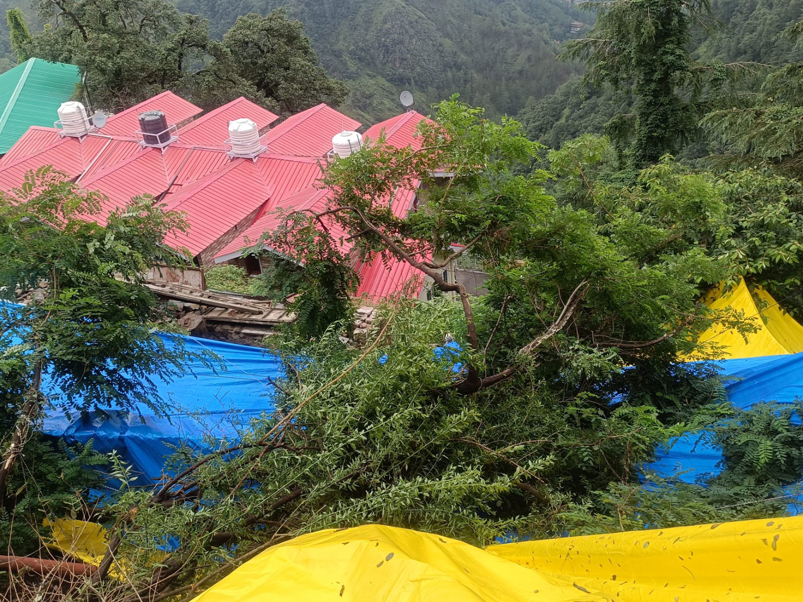Heavy rain triggers landslide scare in Shimla's Sanjauli, several houses affected (Photo/ANI)