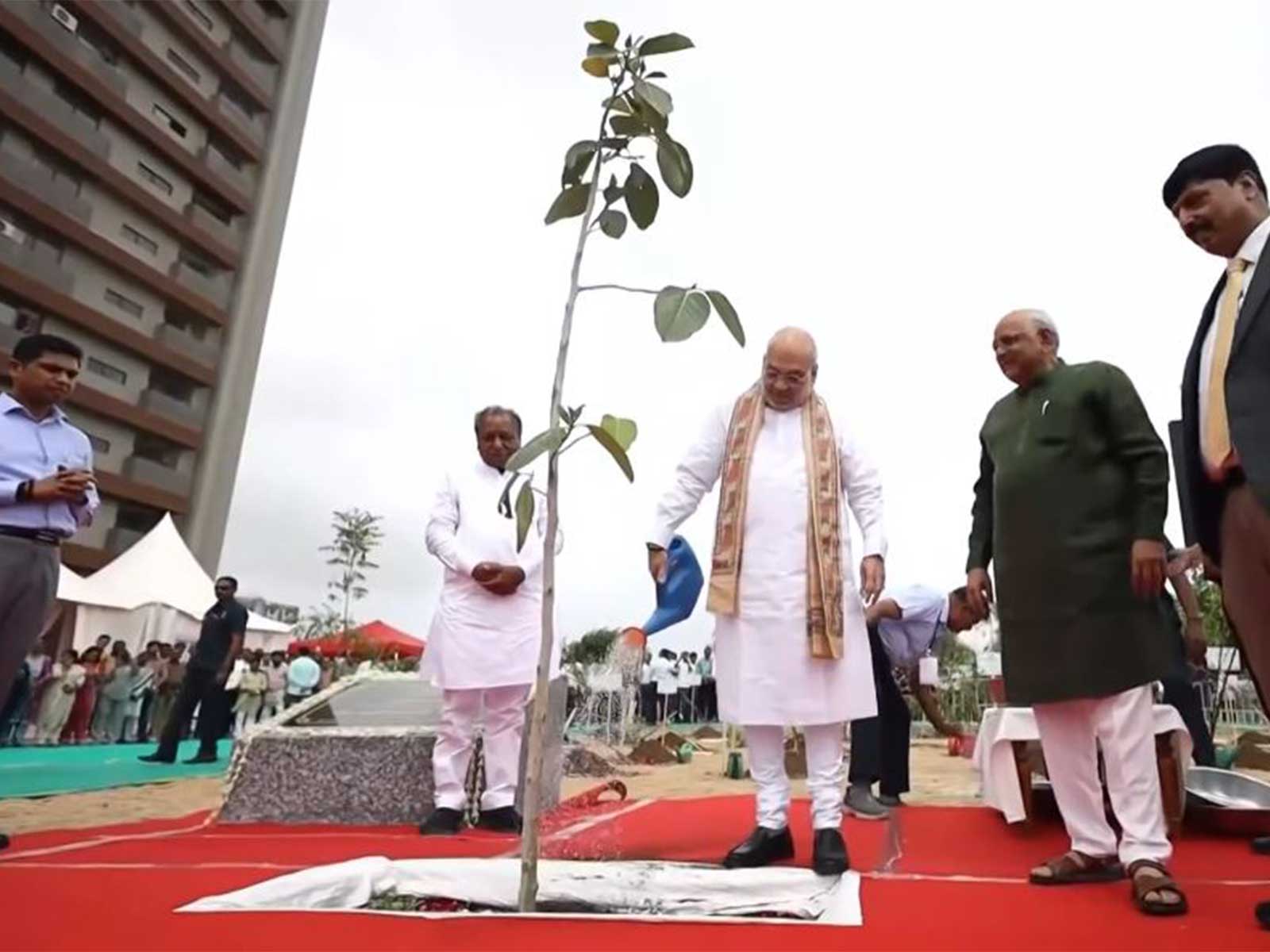 Union Home Minister Amit Shah launched 'Mission 5 Million Trees' campaign (Photo/ANI) Union Home Minister Amit Shah launched 'Mission 5 Million Trees' campaign (Photo/ANI)