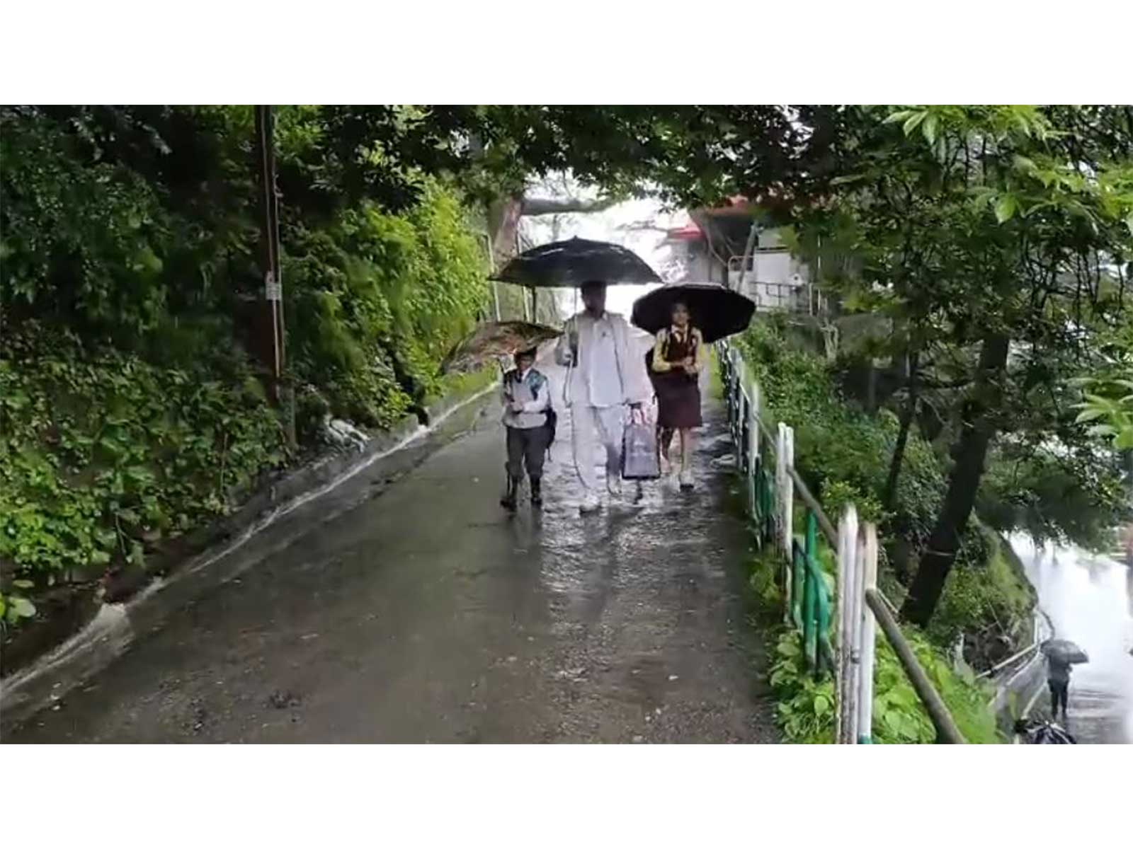 Heavy rainfall in Himachal Pradesh (File photo/ANI) Heavy rainfall in Himachal Pradesh (File photo/ANI)