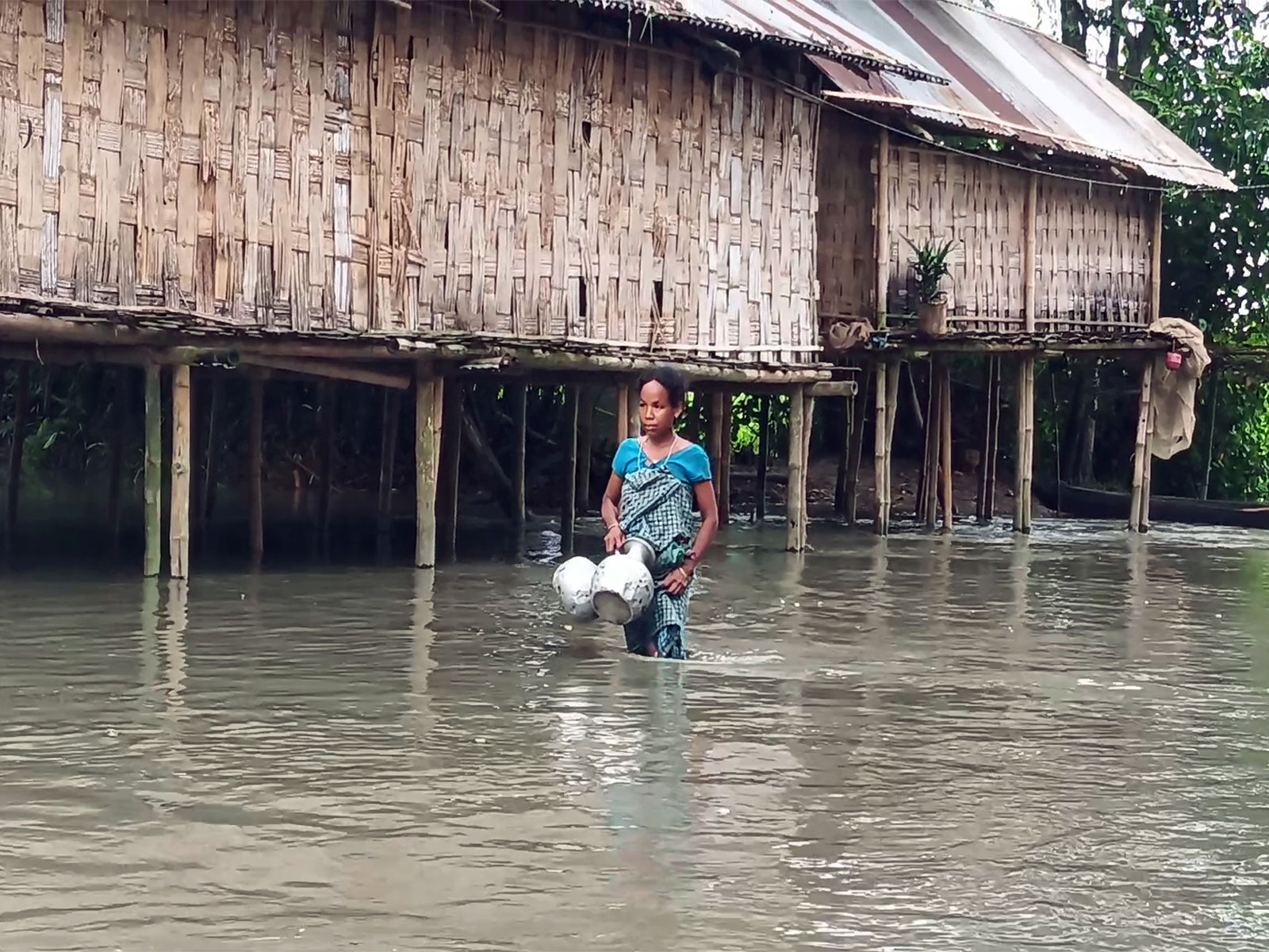 Flood in Assam (Photo/ANI)