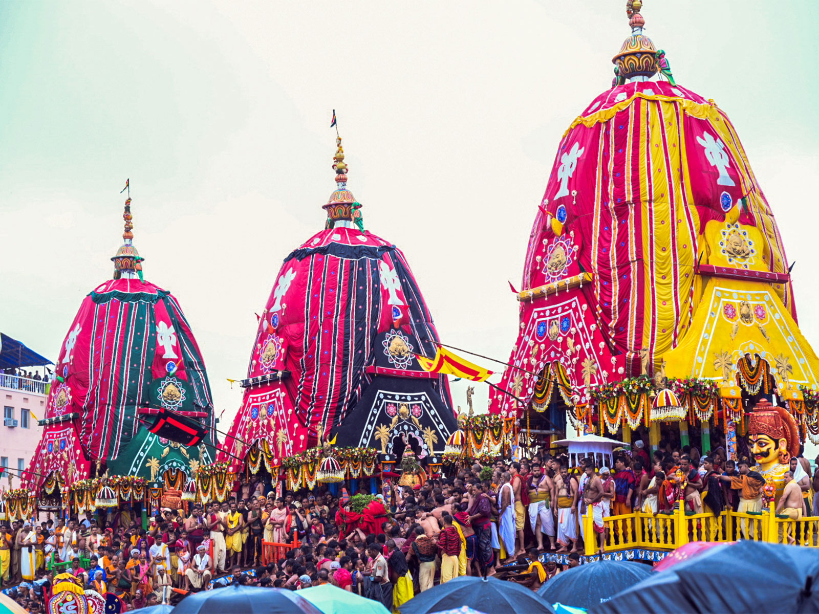 149th Lord Jagannath Rath Yatra in Odisha's Puri (Photo/ANI) 149th Lord Jagannath Rath Yatra in Odisha's Puri (Photo/ANI)