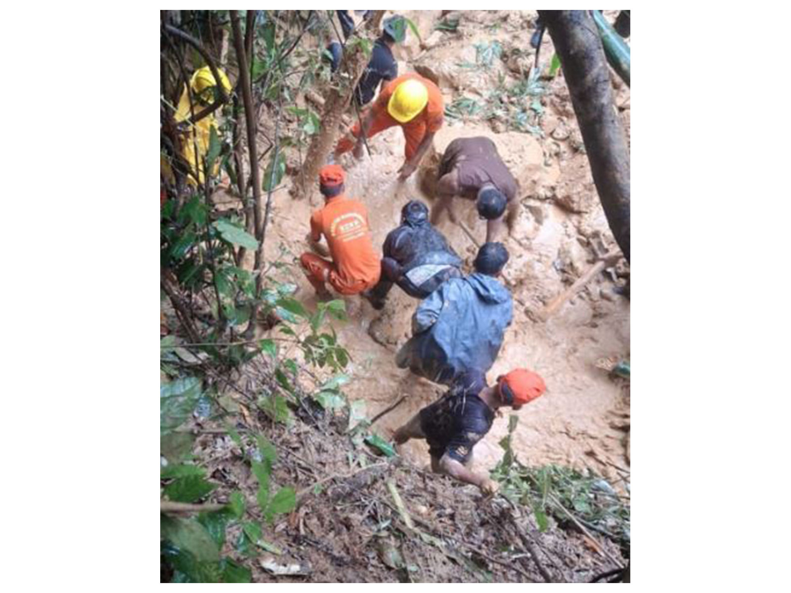 Rescue teams search for survivors after a landslide in Nagaland (Photo/DIPR)