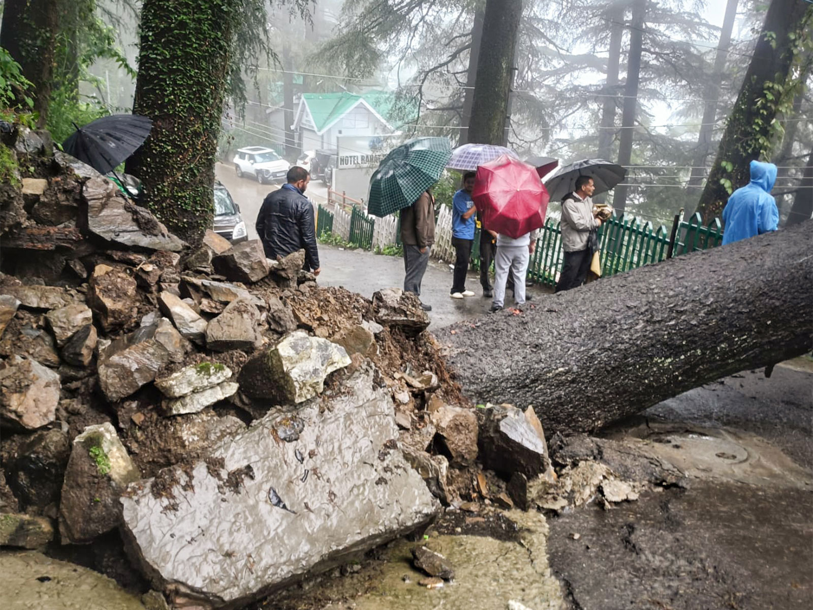 Earlier visual of uprooted tree blocking the Banmore road following a heavy rainfall in Shimla (Photo/ANI) Earlier visual of uprooted tree blocking the Banmore road following a heavy rainfall in Shimla (Photo/ANI)