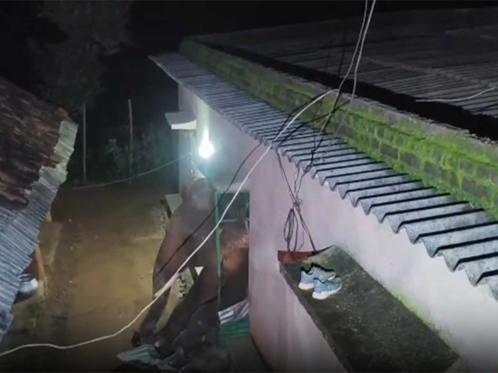 Wild elephant entering a house in Odisha's Karanjia village. (Photo/ANI)