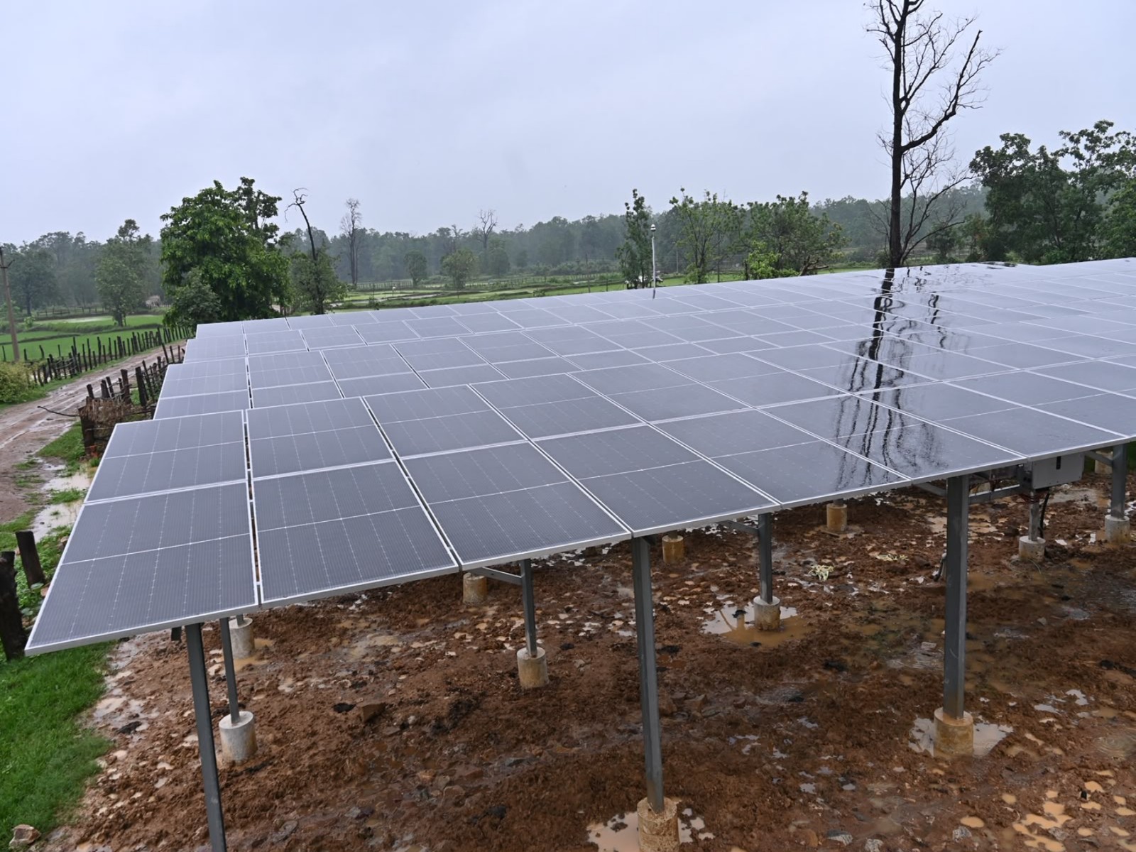 Thenhi emerges as symbol of energy self-reliance, clean energy in rural areas (Photo/ANI)