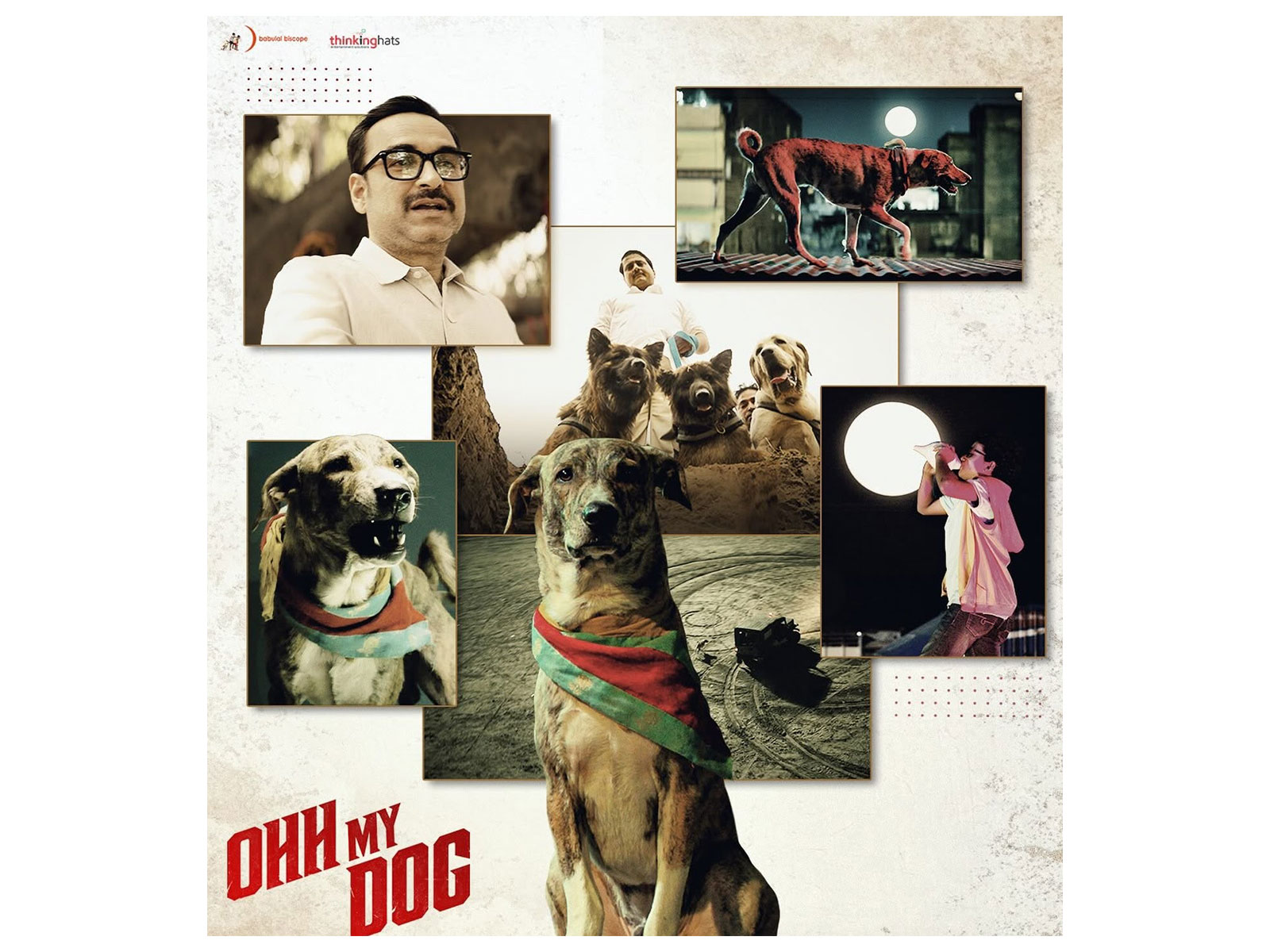 Oh My Dog (Photo/Instagram@babulalbiscope)