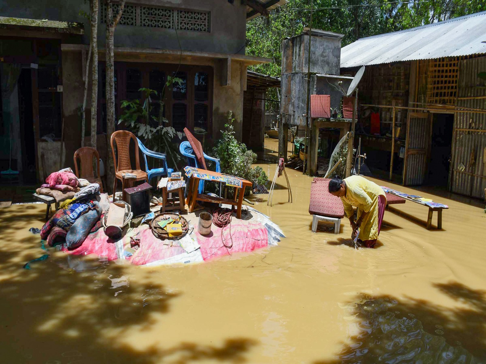 Flood affected area in Jorhat District in Assam (Photo/ANI)