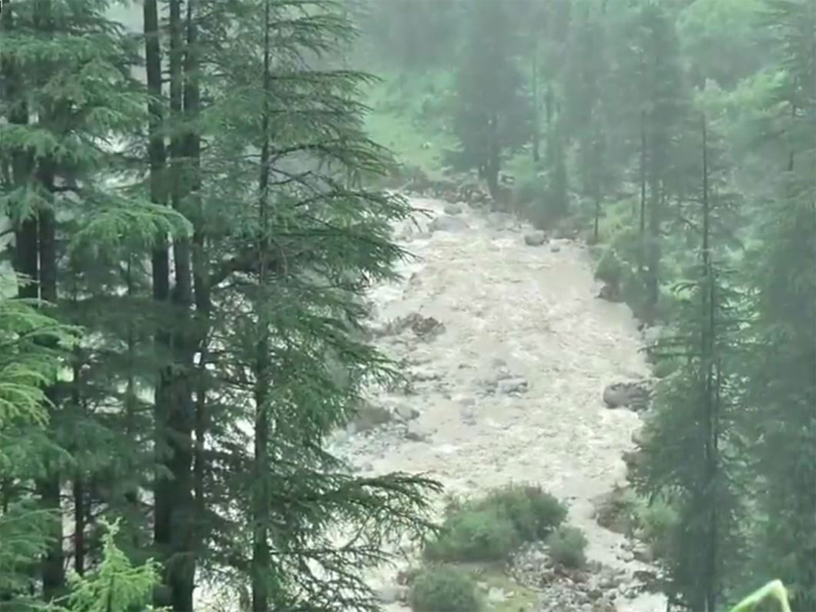 Heavy rainfall lashes Bhalesa in Doda district (Photo/ANI)