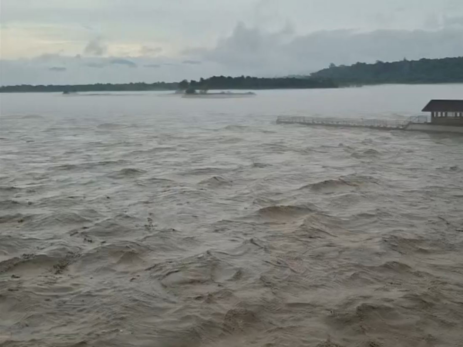 Water level of Ganga has reached warning mark at Bhimgoda Barrage (Photo/ANI) Water level of Ganga has reached warning mark at Bhimgoda Barrage (Photo/ANI)